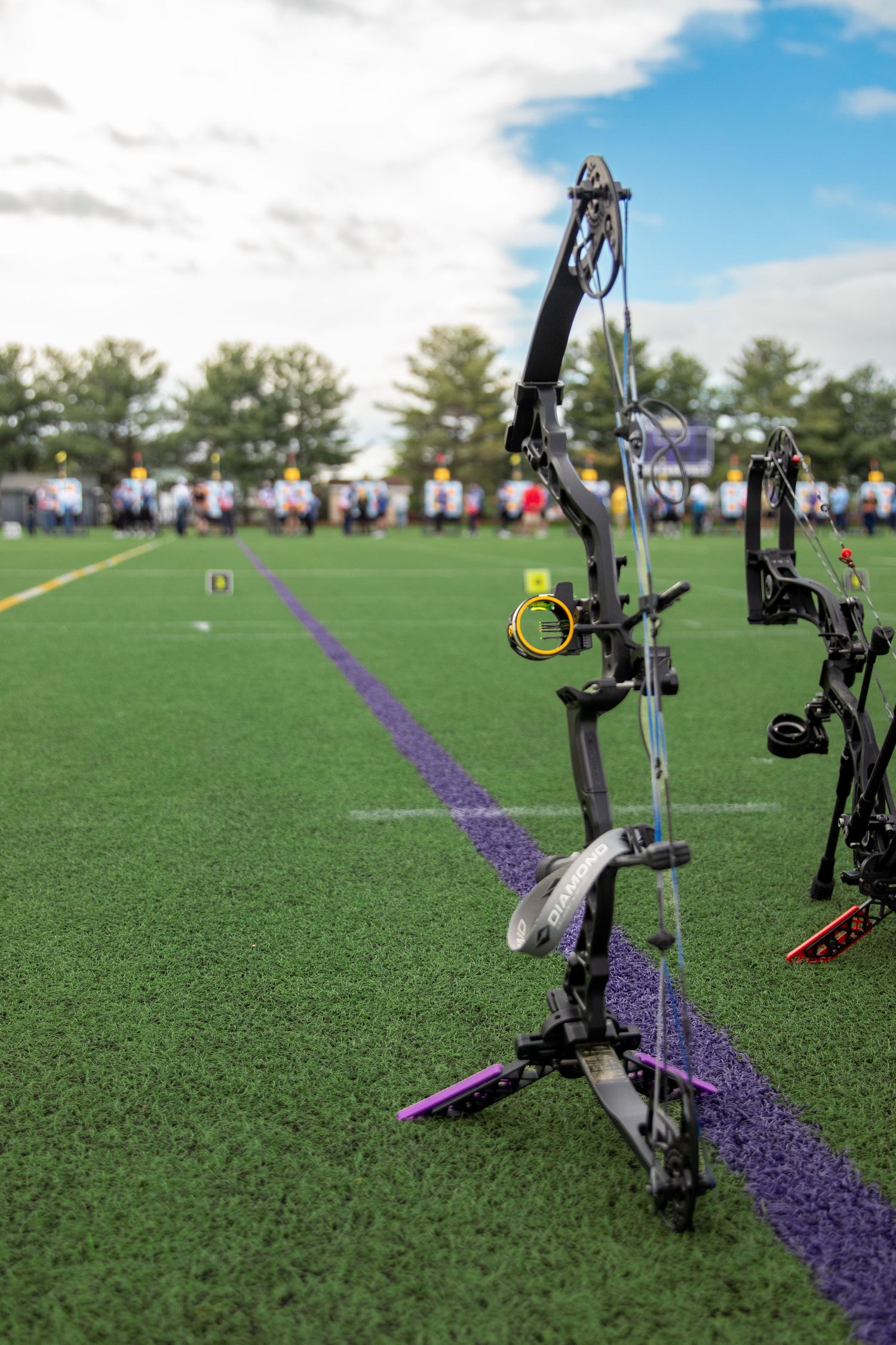 Multiple archery bows lined up on athletic field with purple line marking.