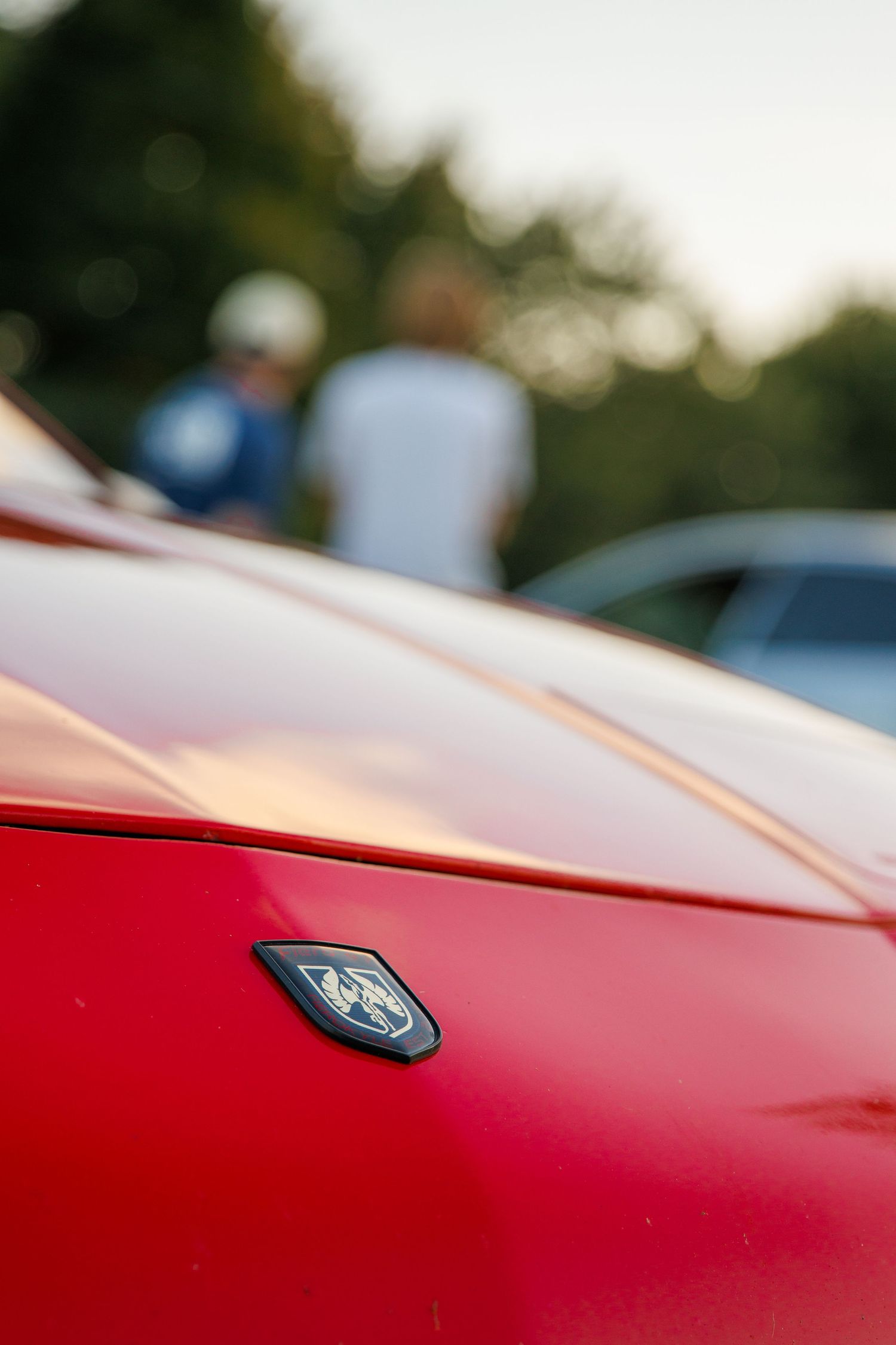 Close-up detail of a red car hood showing a small emblem badge against a blurred background.