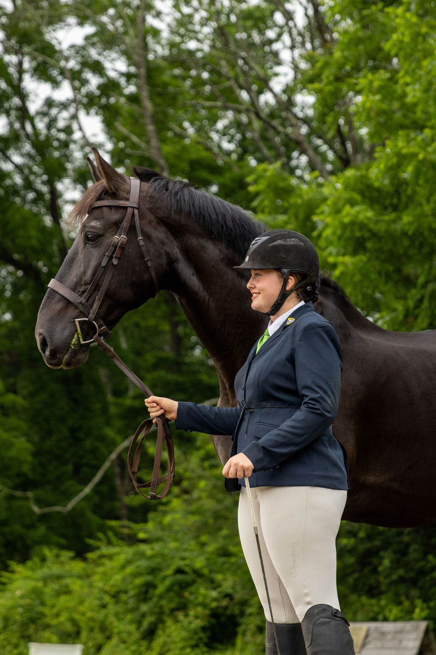 A rider in formal equestrian attire stands with a black horse against a green backdrop.