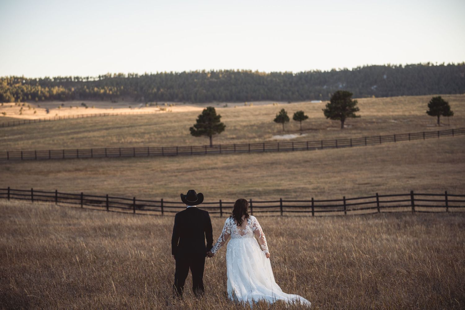 A romantic wedding couple gazes at the horizon in a golden field with wooden fences at sunset.