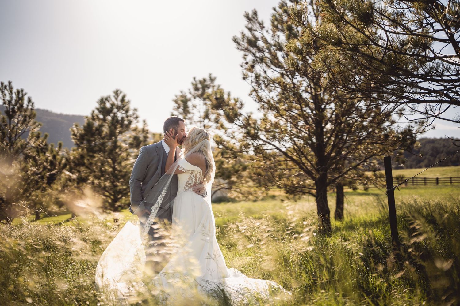 A bride and groom share a romantic kiss in a sunlit meadow surrounded by pine trees on their wedding day.