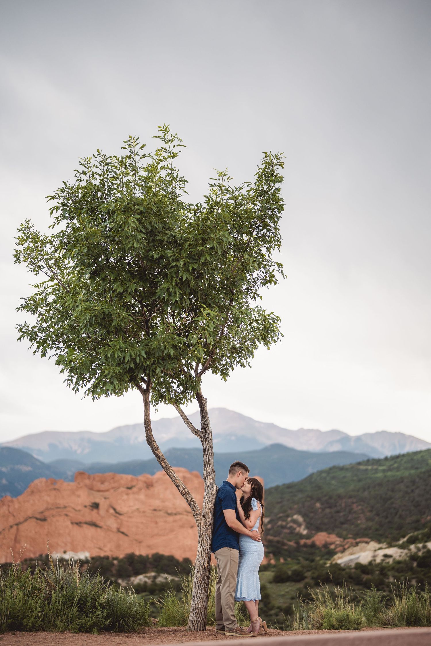 A couple shares an intimate moment beneath a lone tree at Garden of the Gods in Colorado.