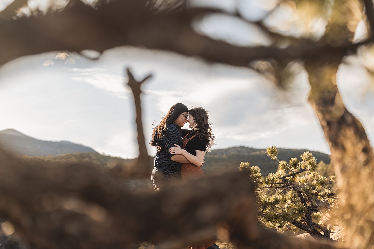 Romantic sunset photograph through tree branches with mountains in background.