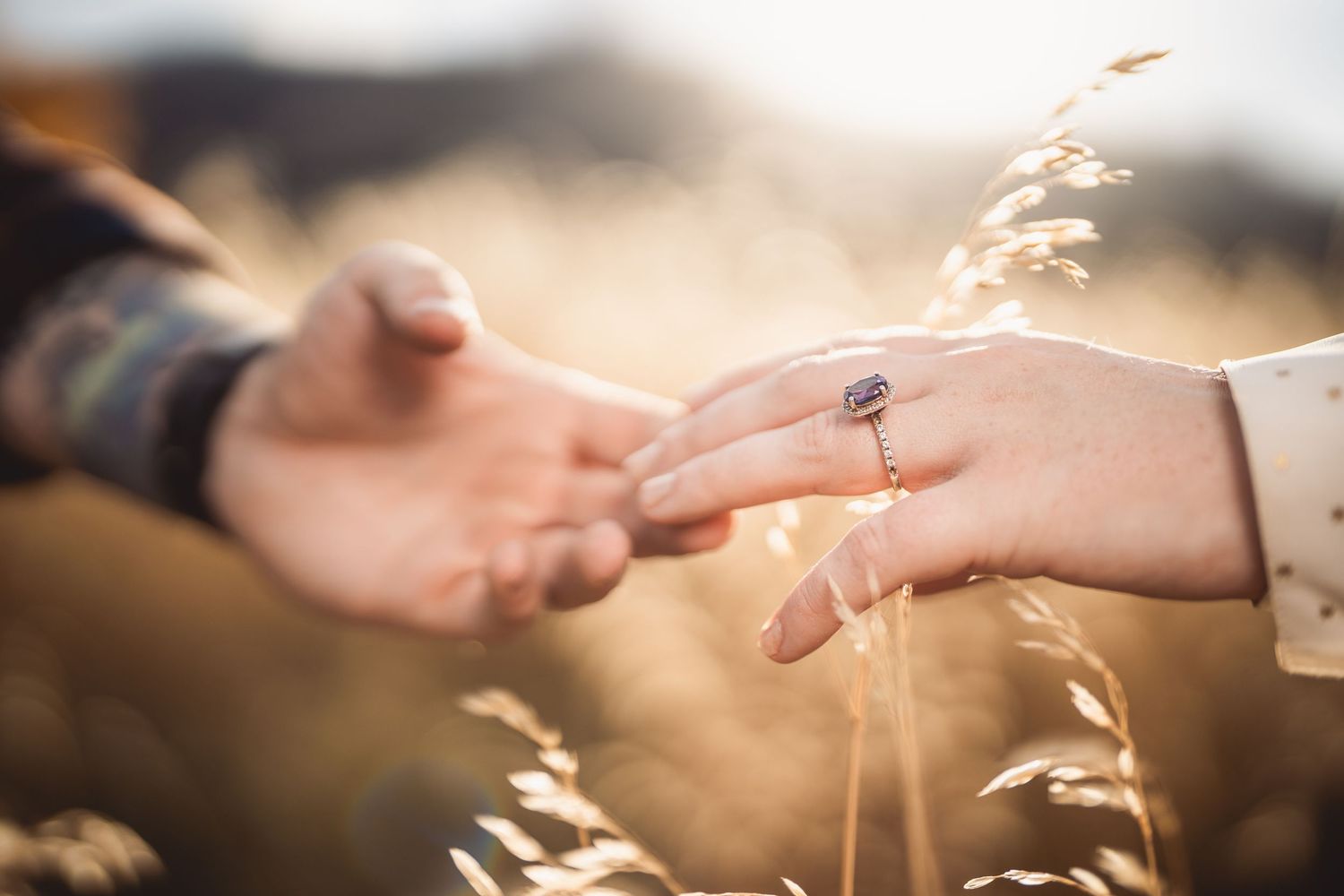 Two hands reaching toward each other in a golden field, one adorned with a sapphire engagement ring.