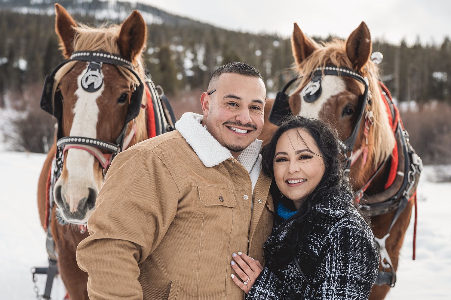 A couple poses with two beautiful horses wearing bridles against a snowy mountain backdrop.