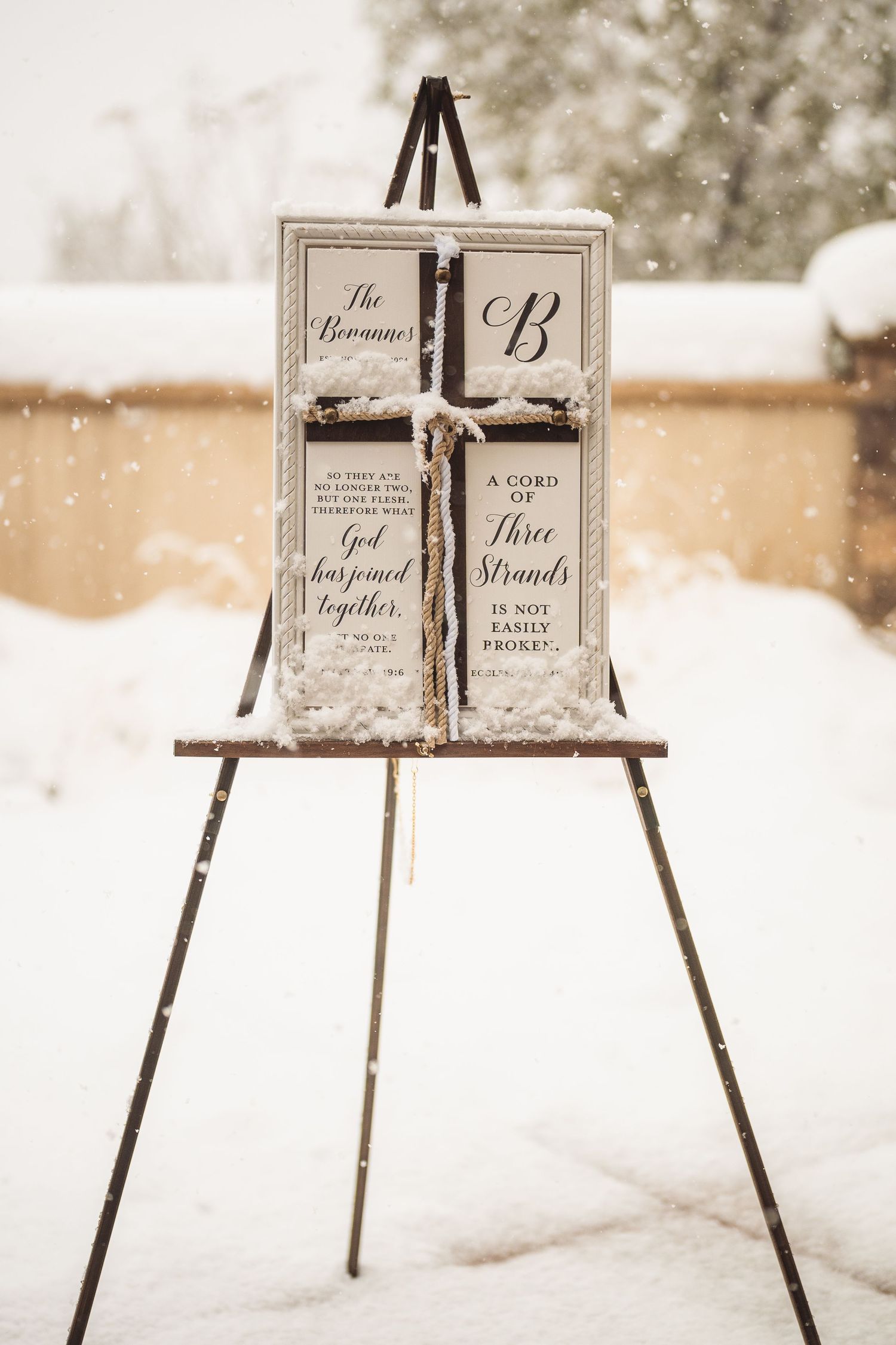 Wedding signage displayed on easels in a snowy outdoor setting.