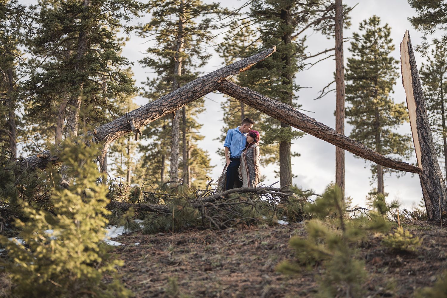 Silhouetted figures embrace on mountain ridge with towering pine trees in background.