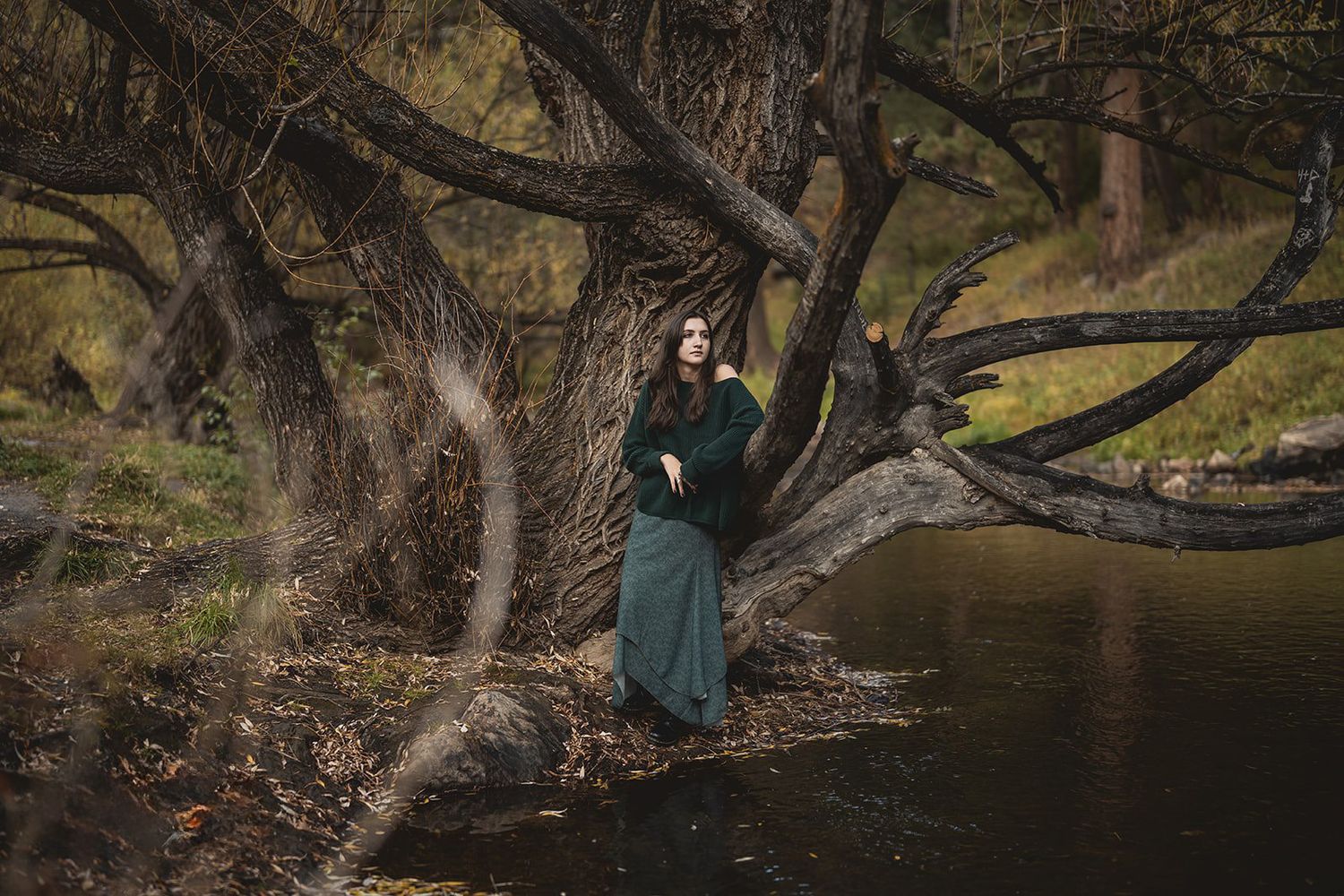 Scenic riverside photography location with trees and natural autumn lighting.
