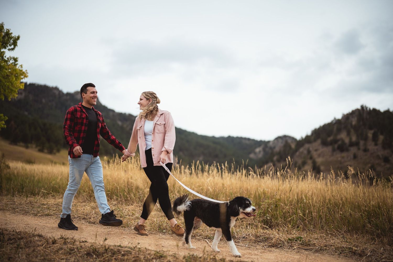 A couple plays with their dog in a golden mountain meadow during sunset.