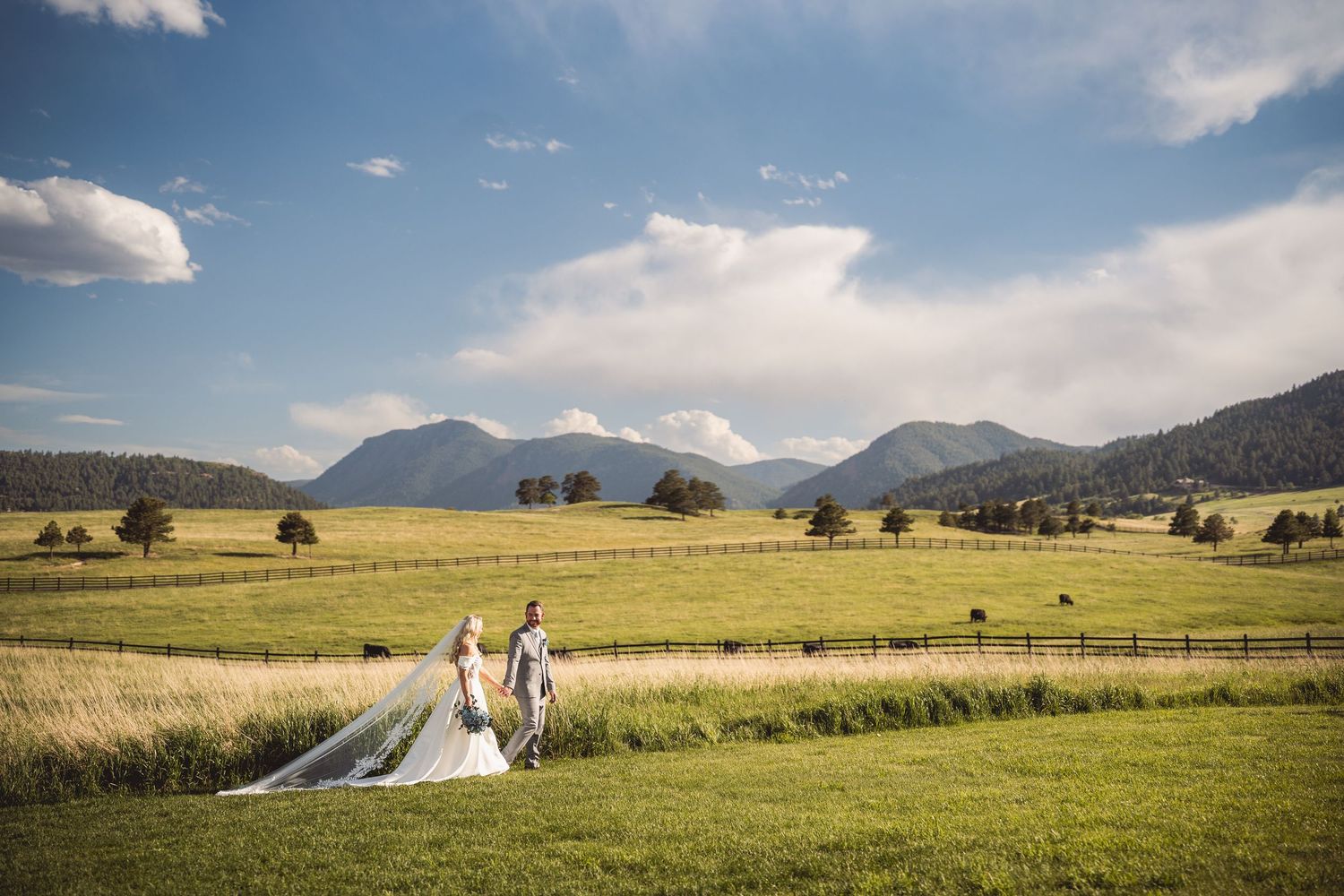 Bride and groom walk hand-in-hand through lush green meadow with mountain backdrop under blue sky.