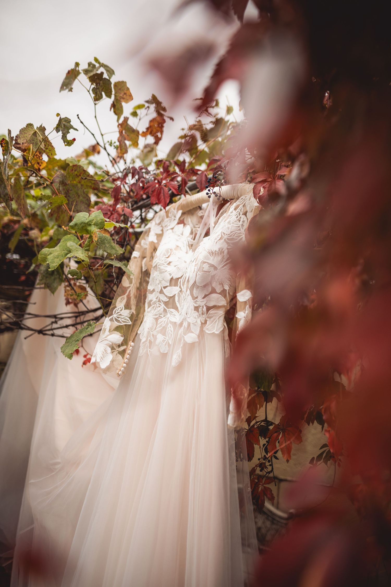 White wedding dresses hanging among autumn foliage with soft focus effect.