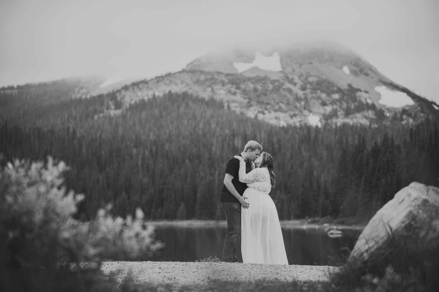 Black and white mountain landscape with pine forest and misty peaks.