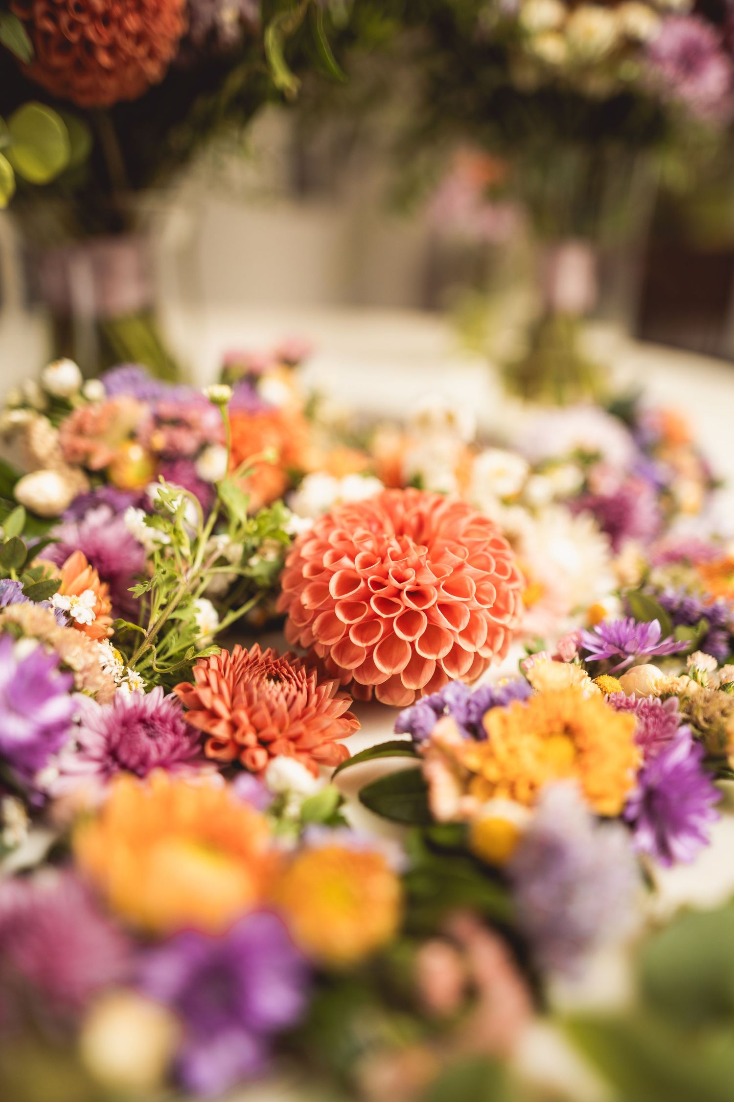 Close-up shot of coral dahlias and purple flowers in a romantic floral arrangement with soft bokeh effect.