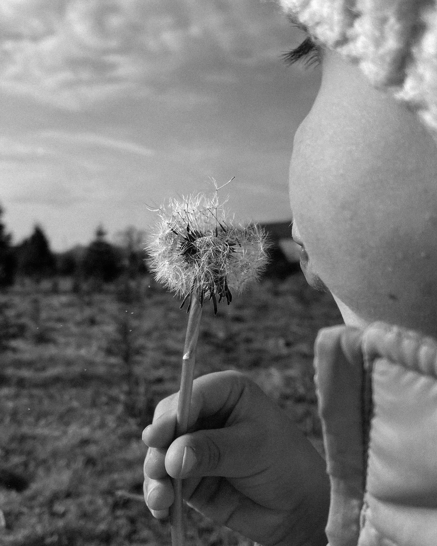 A hand holds up a dandelion seed head against a cloudy sky in black and white.