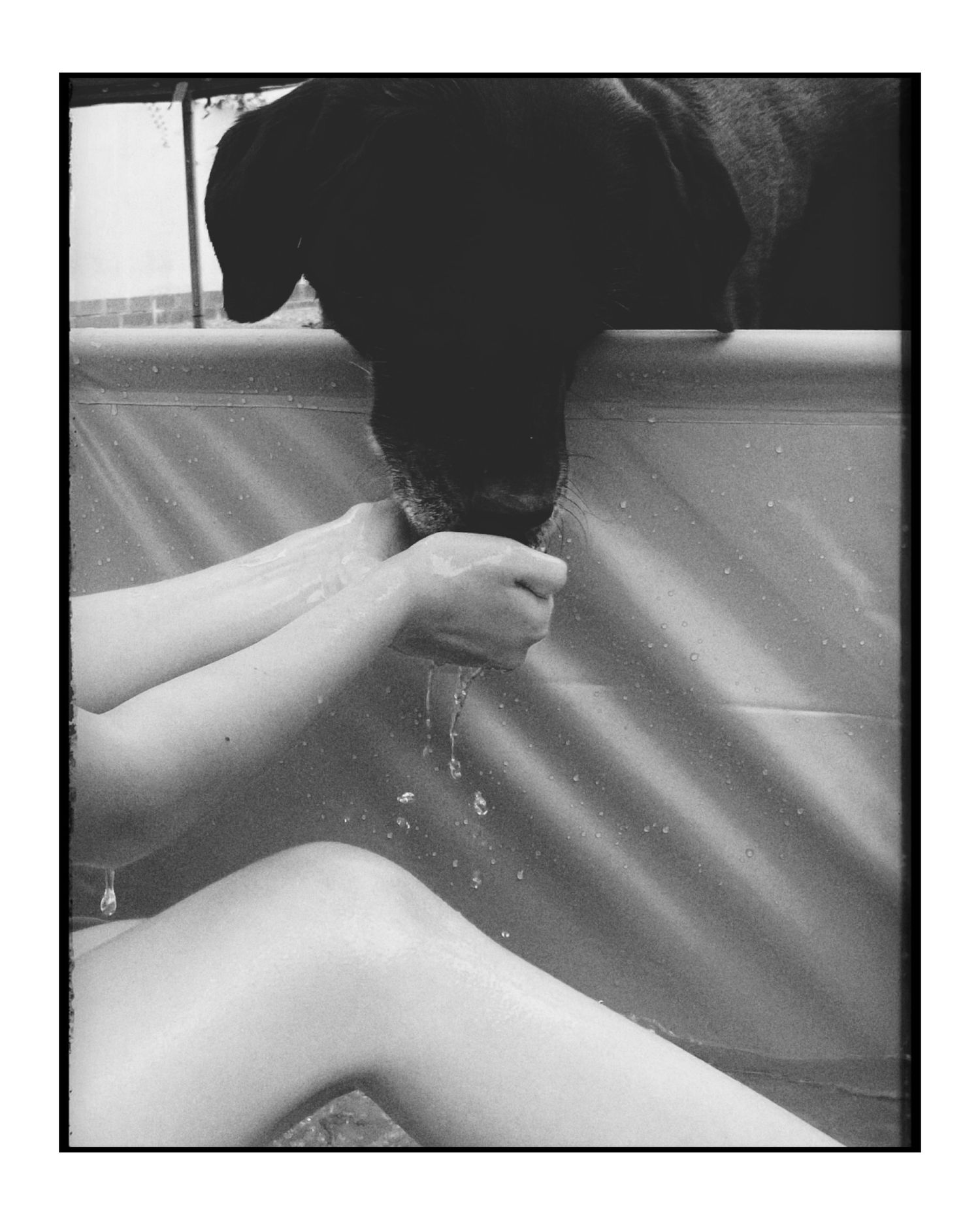 Black and white close-up of hands against a textured light-colored surface.