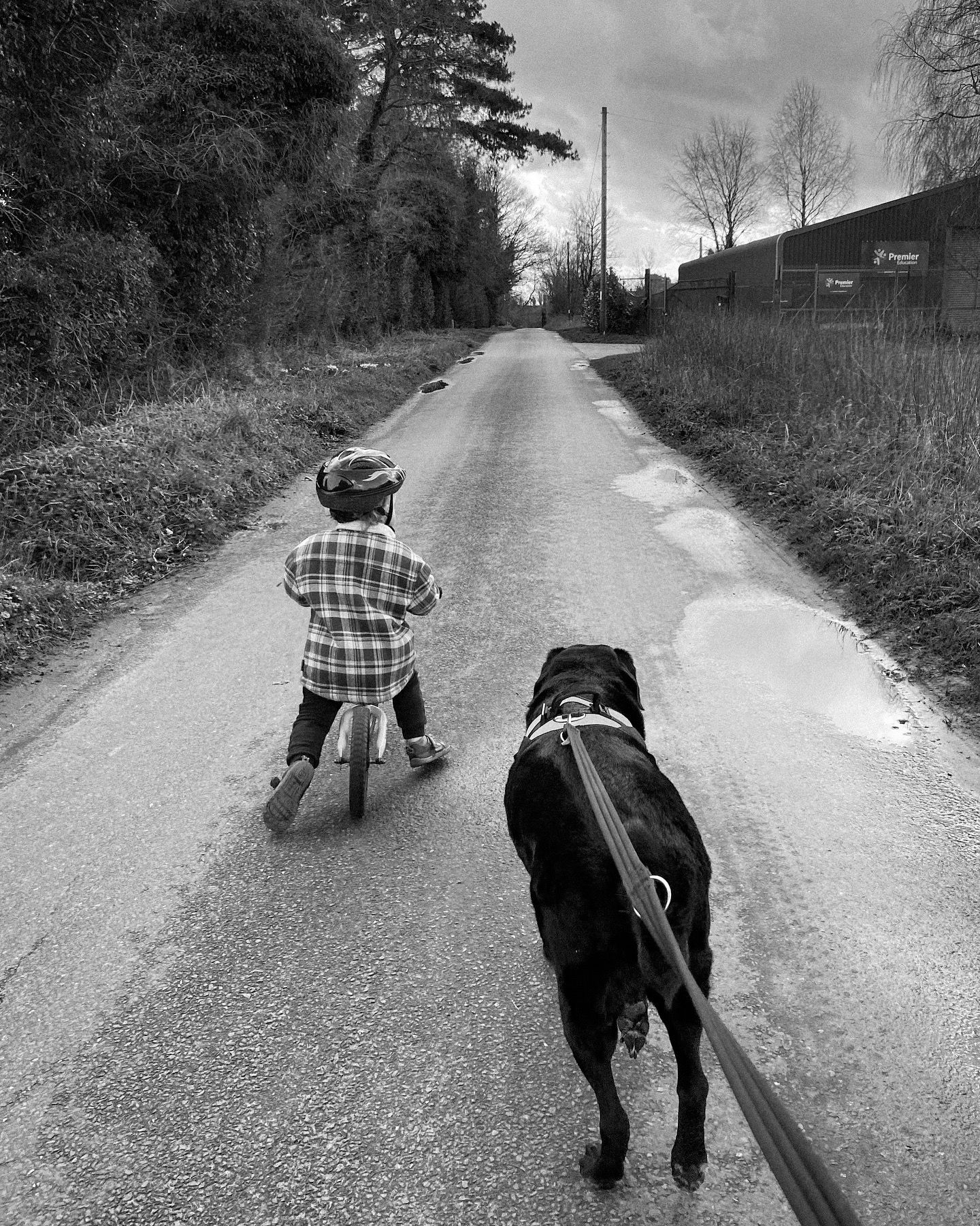 A child on a scooter and black dog walk down a rural country lane.
