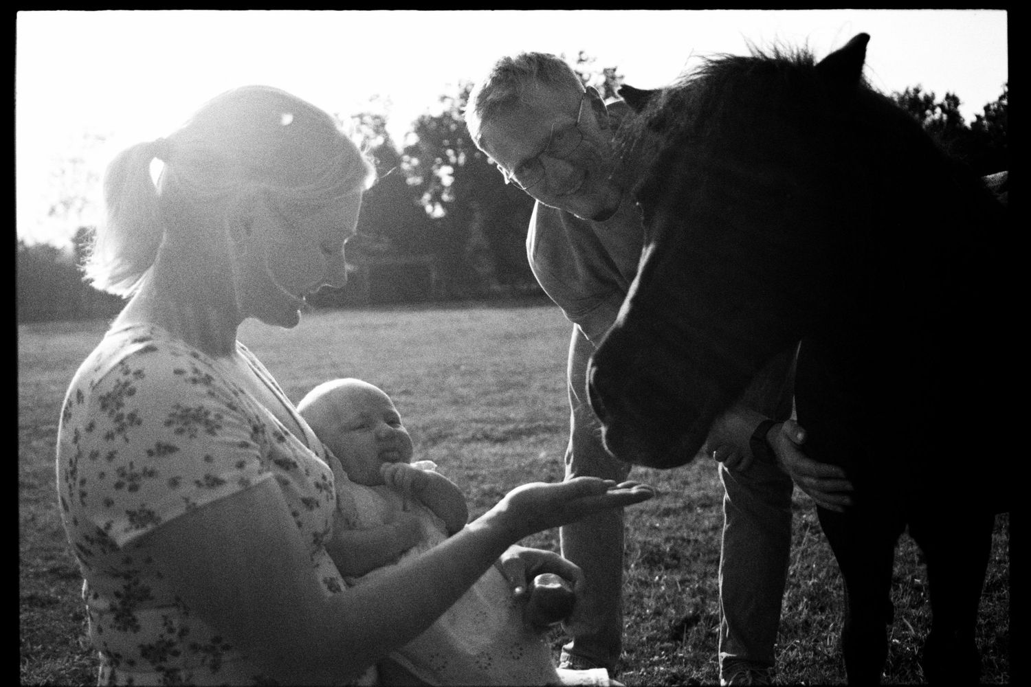 A black and white collage showing various outdoor moments with horses and people in a countryside setting.