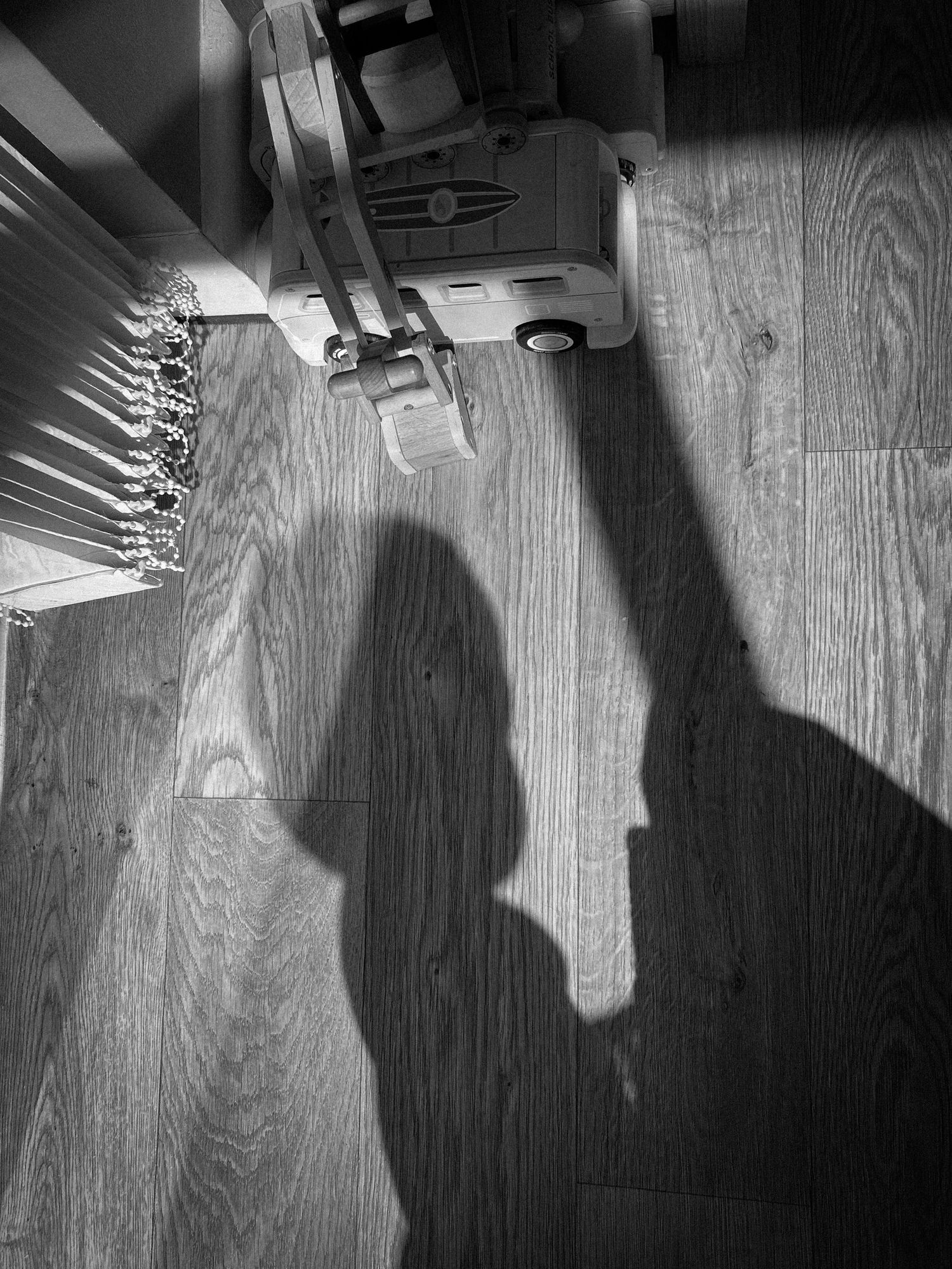 Artistic black and white photo of shadows cast on hardwood flooring with hanging objects visible.
