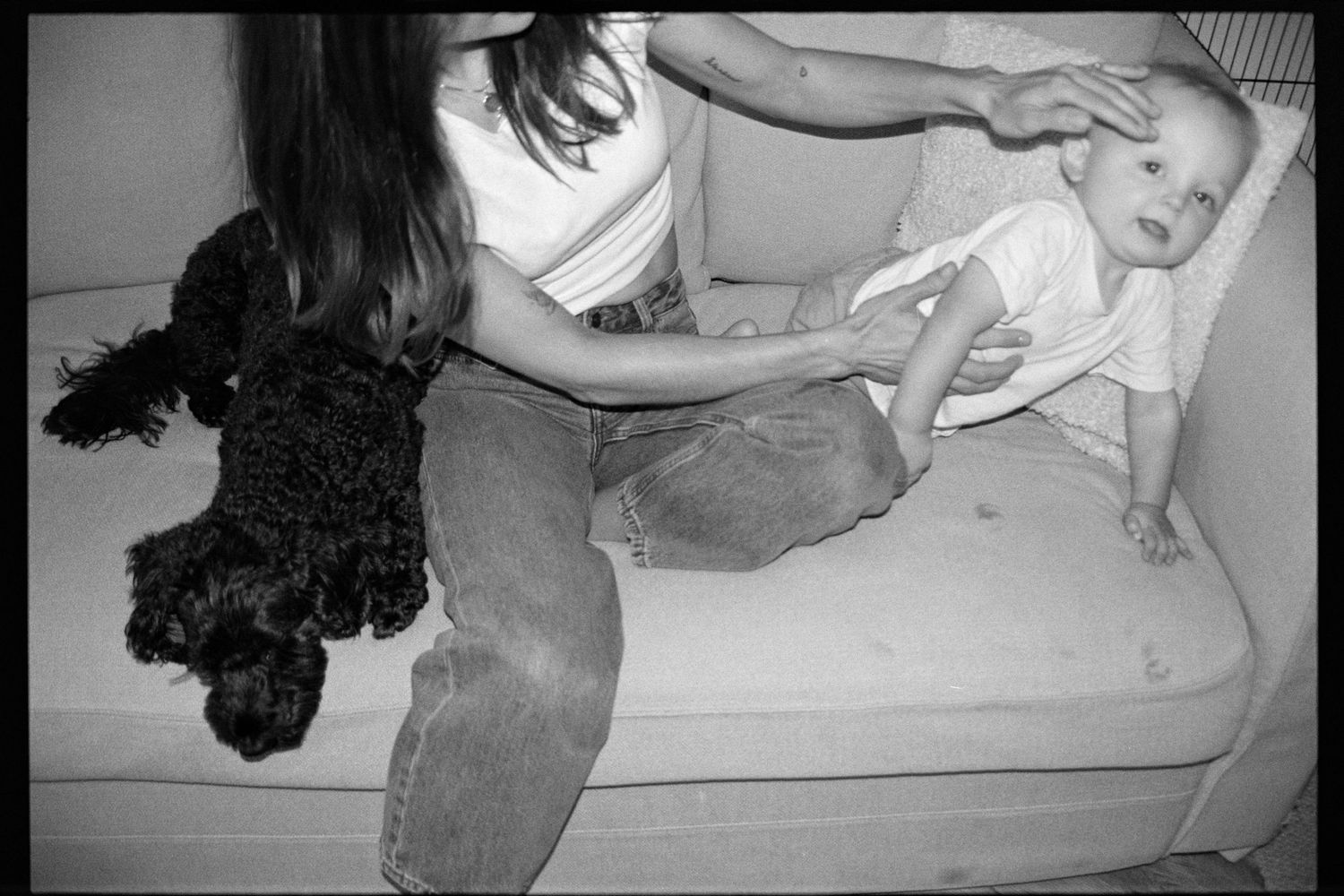 A black and white photo sequence shows a small dog jumping onto a couch in multiple frames.