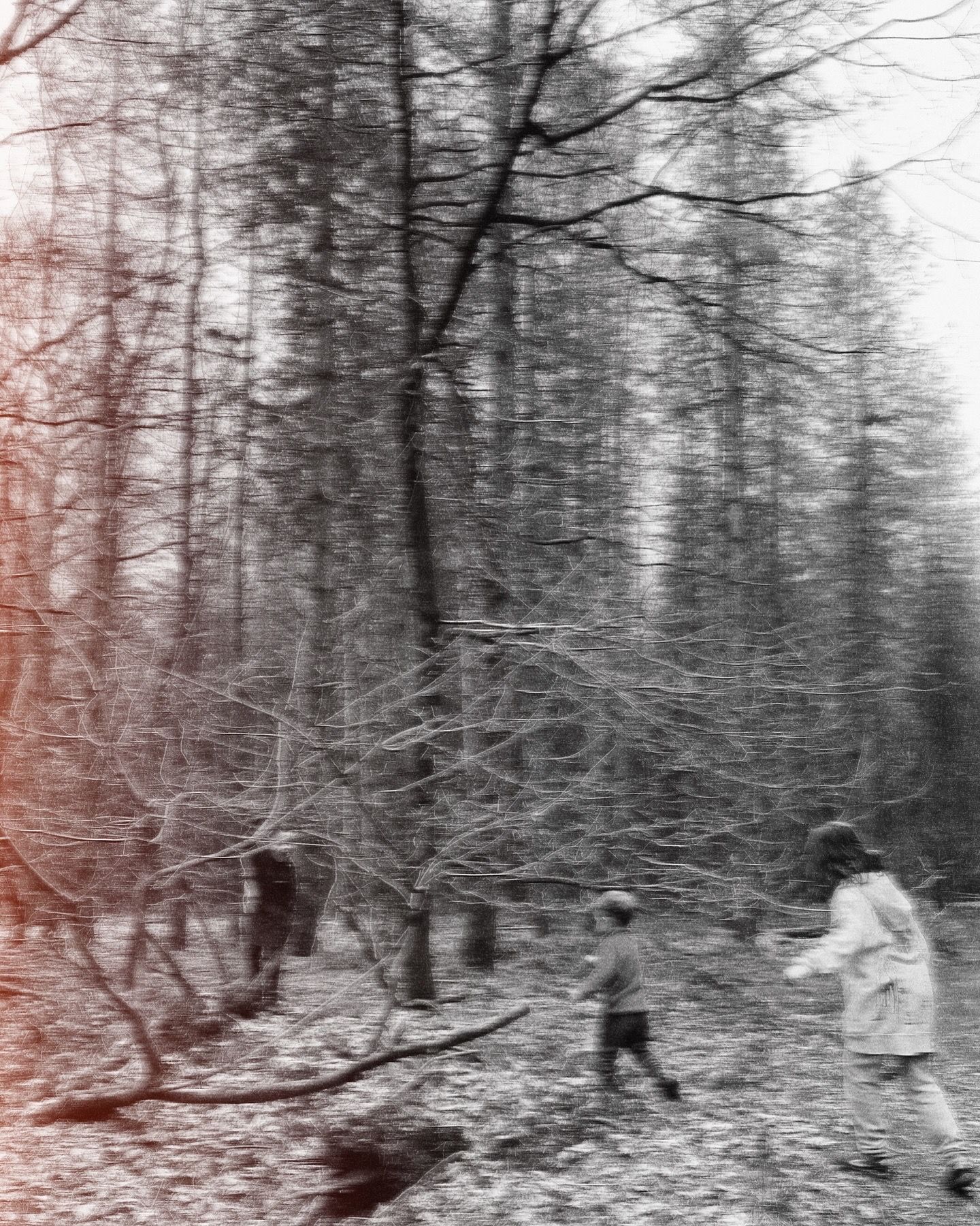 People walk through a misty winter forest scene captured in black and white.