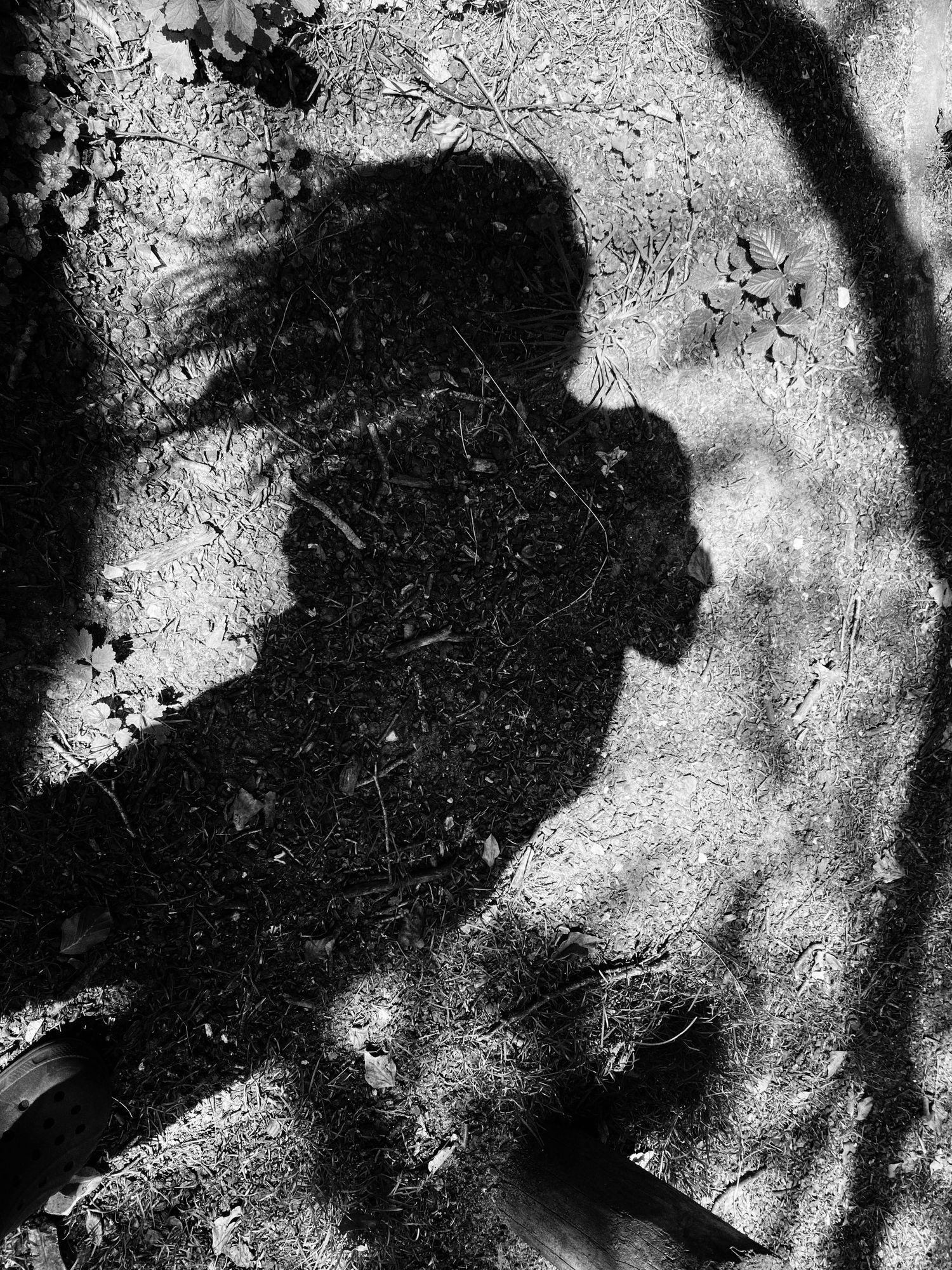 A shadowy silhouette cast on textured ground creates an abstract black and white composition.