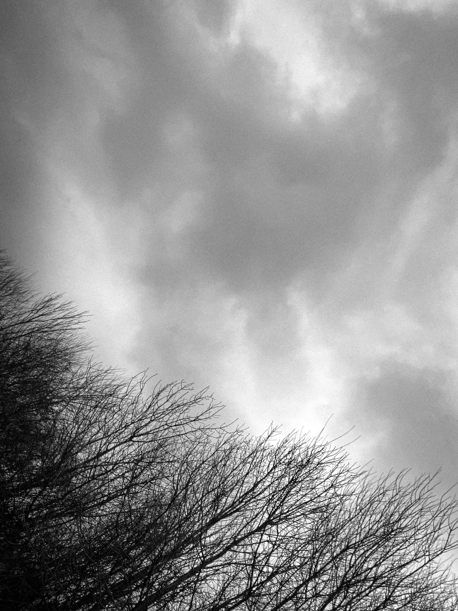 Dramatic black and white skyscape with bare tree branches against moody clouds.
