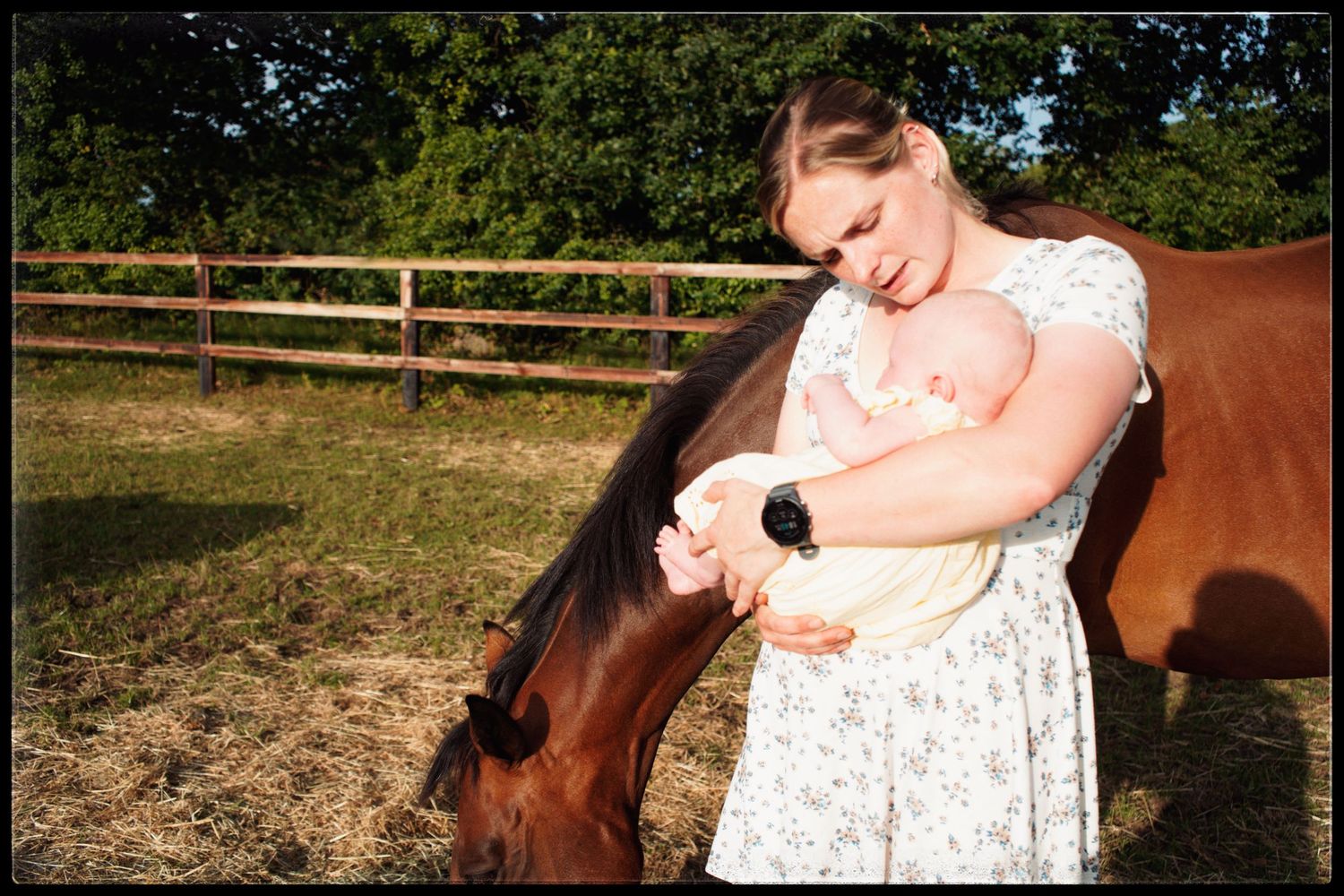 A series of photos showing a person in a white dress petting and interacting with horses in an outdoor setting.