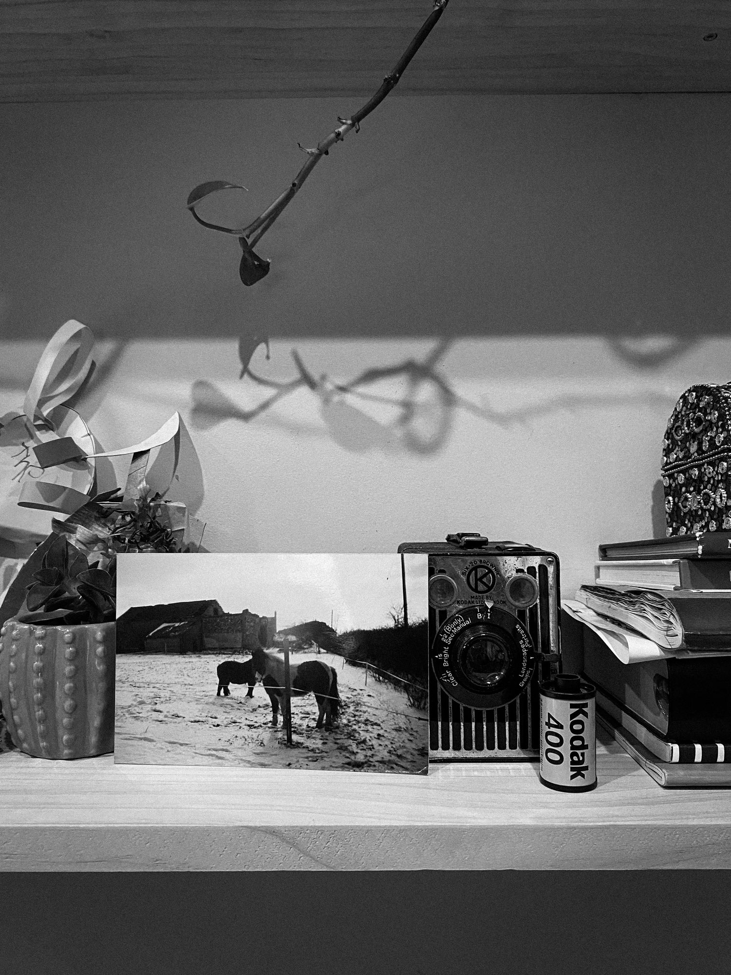 Still life arrangement with vintage camera, horse photograph, and decorative items on a shelf.
