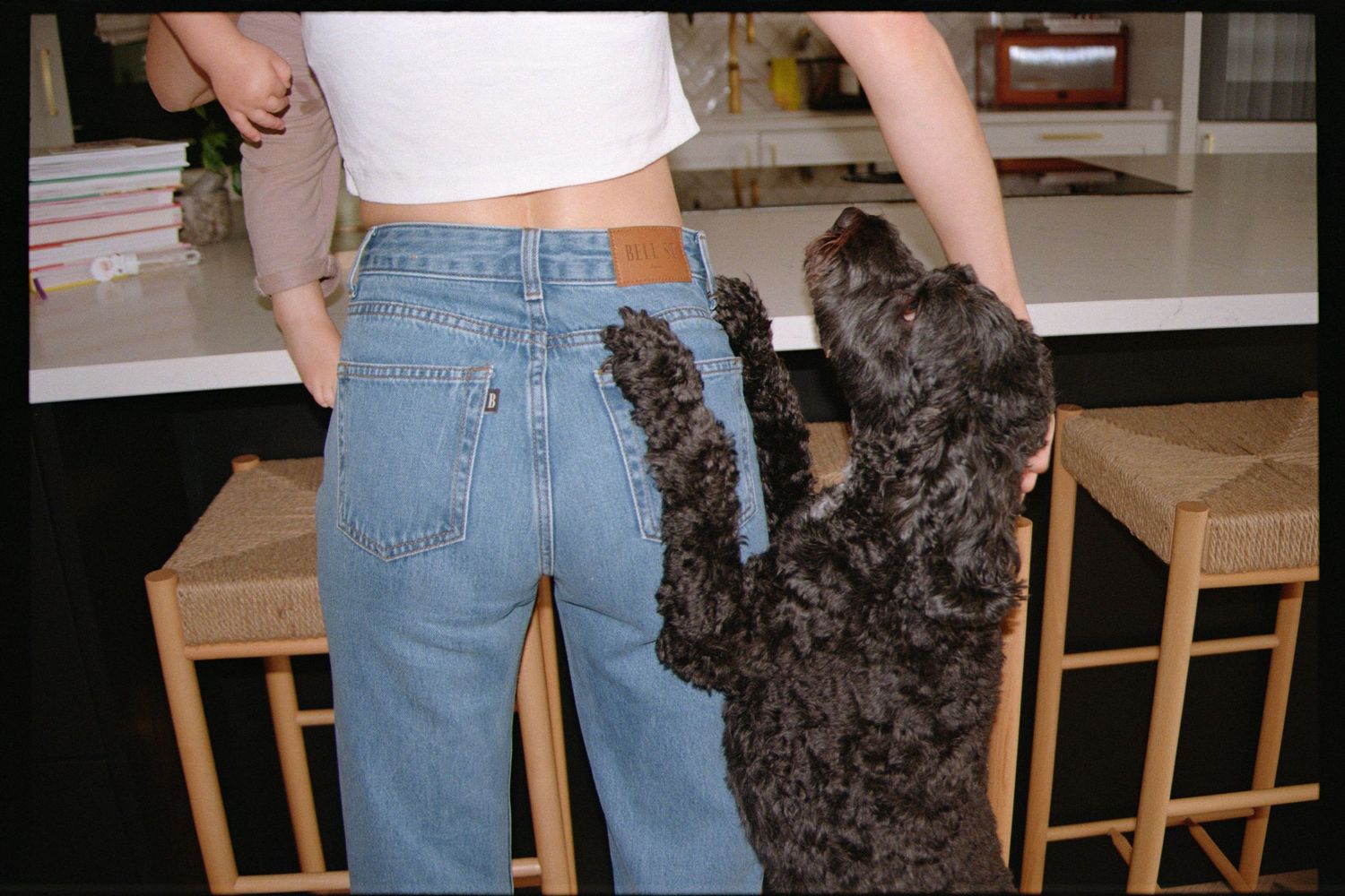 Black poodle mix dog playing and jumping up excitedly in a kitchen with wood floors and cabinets.