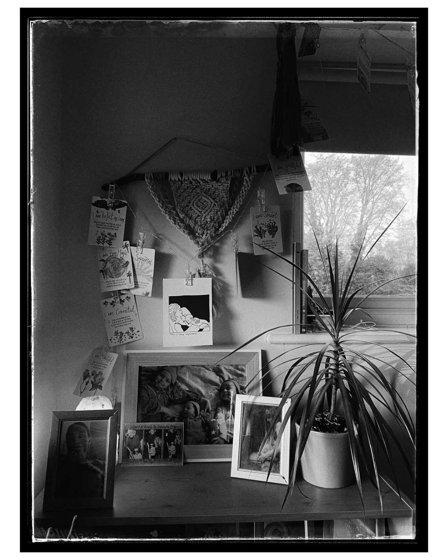 Black and white photo of a wall display with framed pictures, drawings and a potted plant.