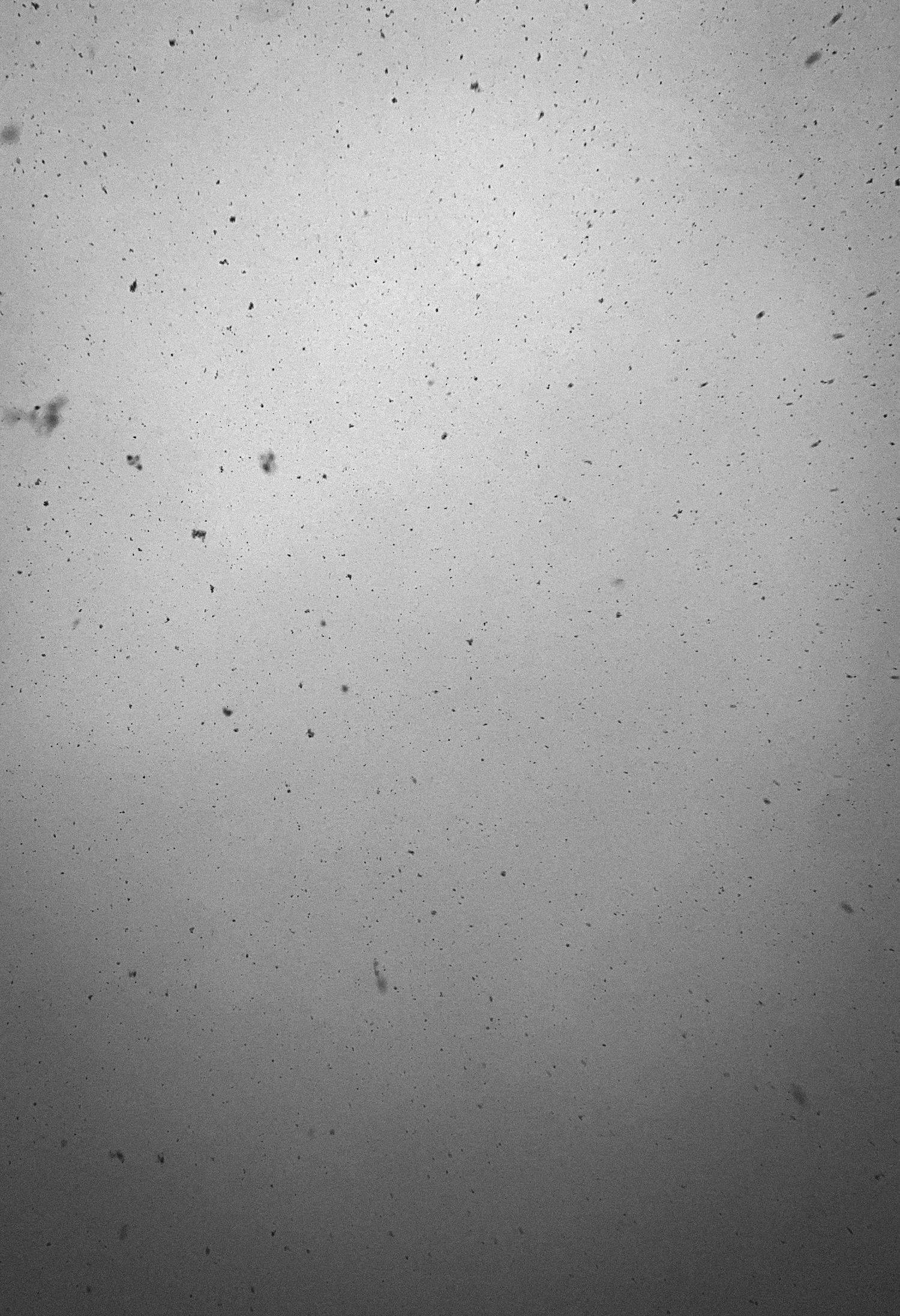 Black and white grainy textured background with tiny specks scattered across a gradient surface.