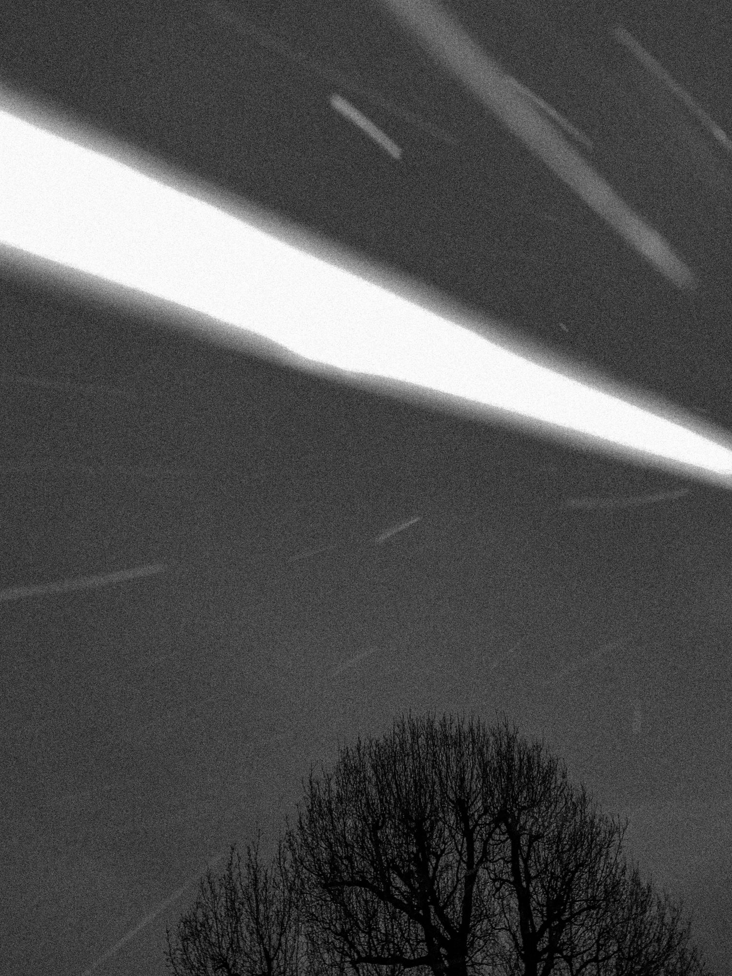 Night sky with streaking lights above dark tree silhouettes.