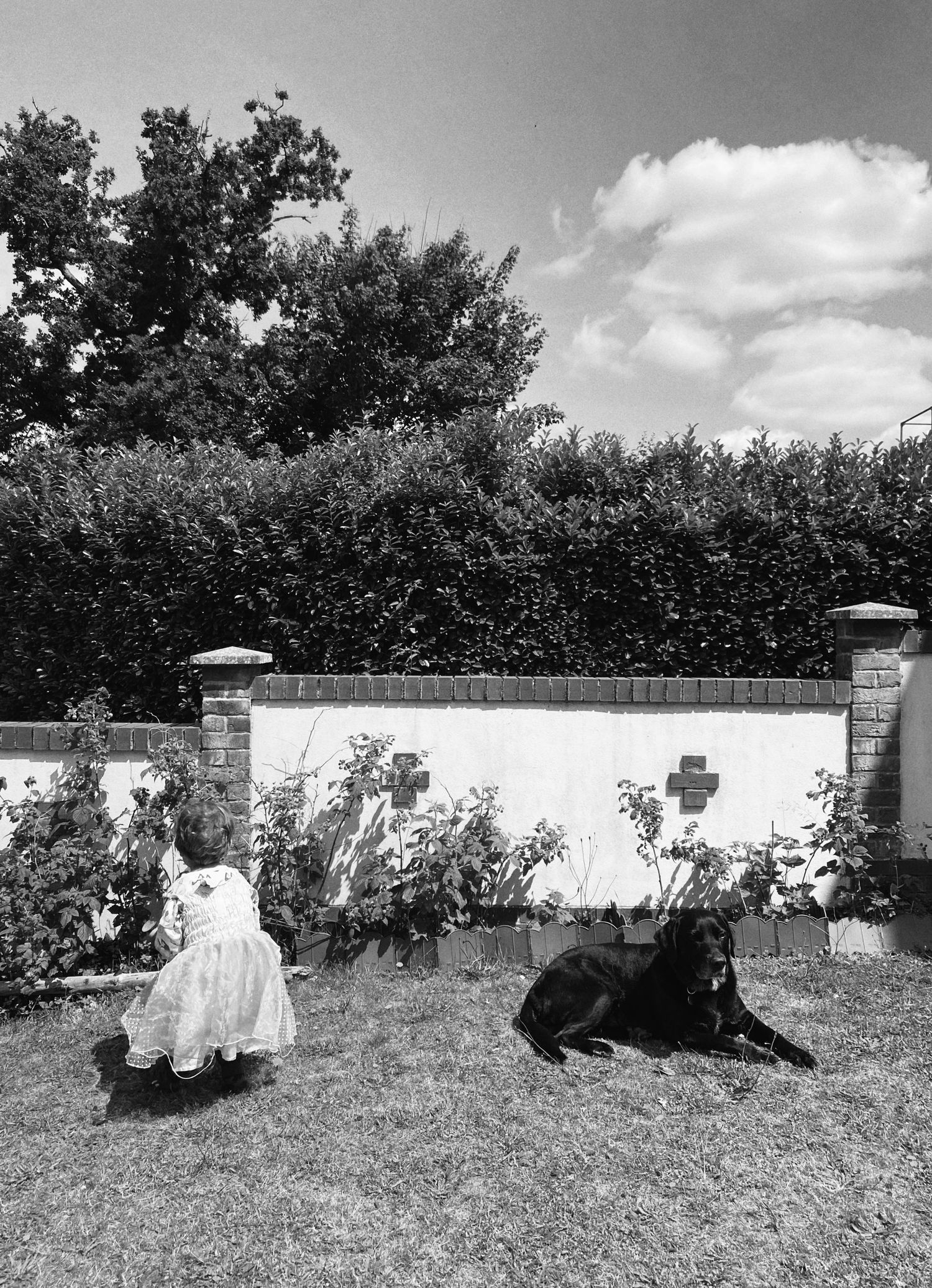 A black and white garden scene with a white dress and black dog resting by a brick wall.