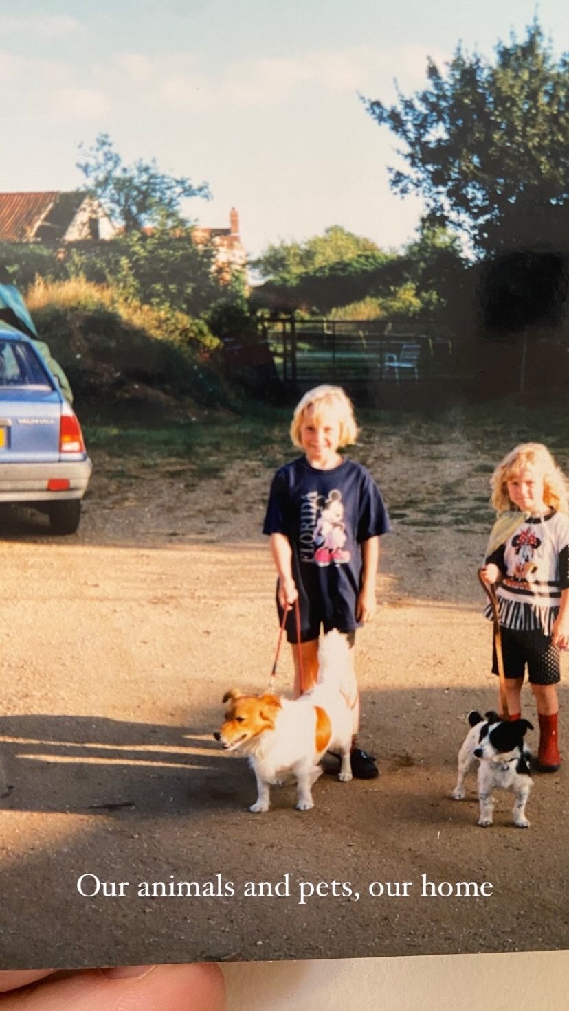 A sequence of photos shows people walking dogs outdoors on a dirt path near houses.