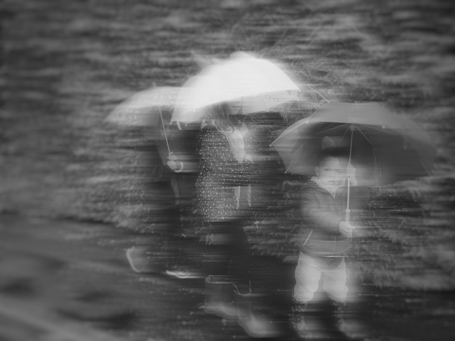 Silhouettes of people holding umbrellas in the rain captured in a dreamy, motion-blurred style.