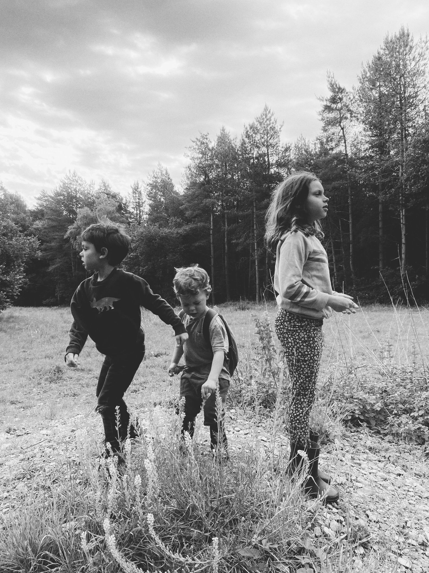 Children playing in a field surrounded by tall pine trees.