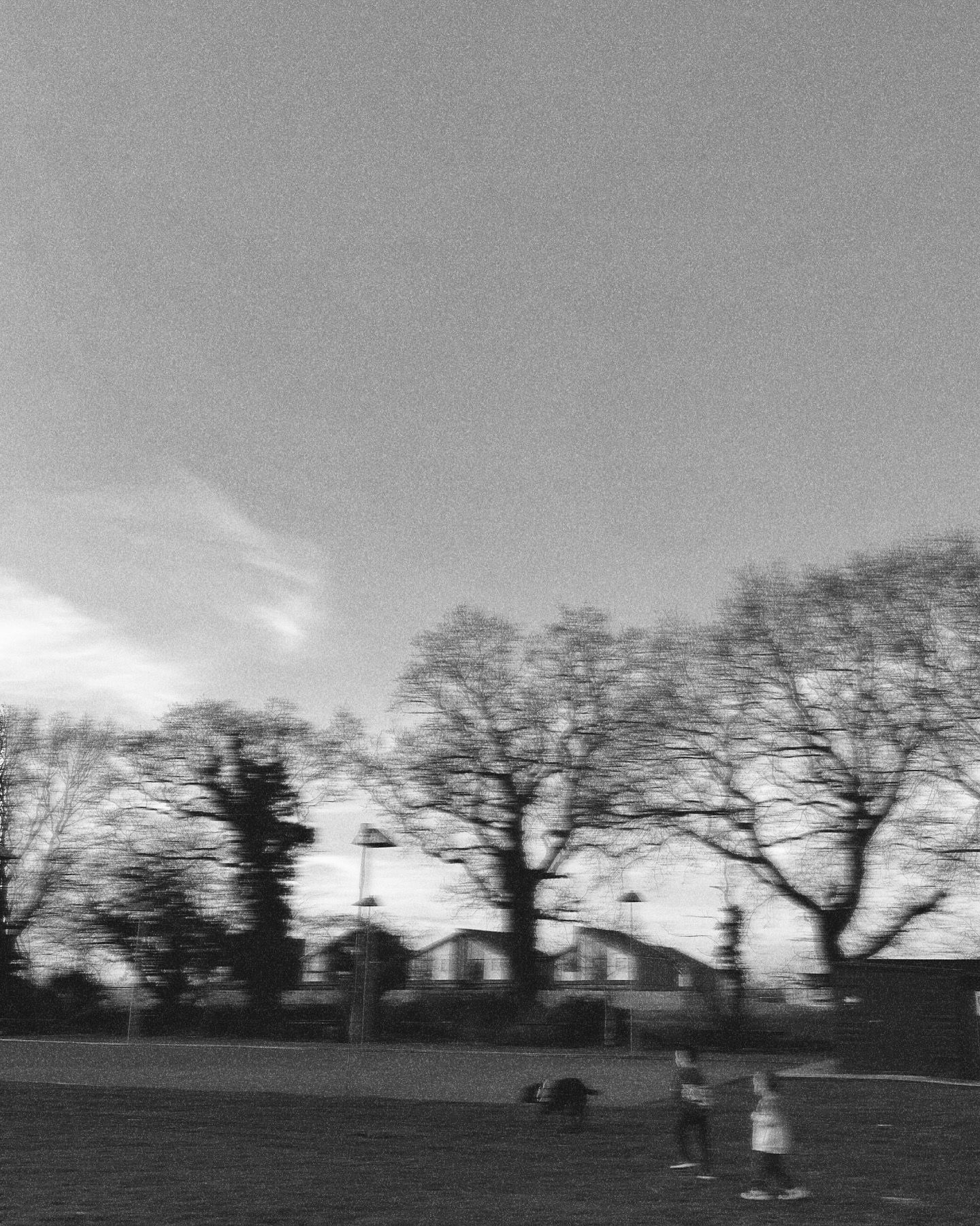 A moody twilight scene showing silhouettes of trees and houses in the distance.