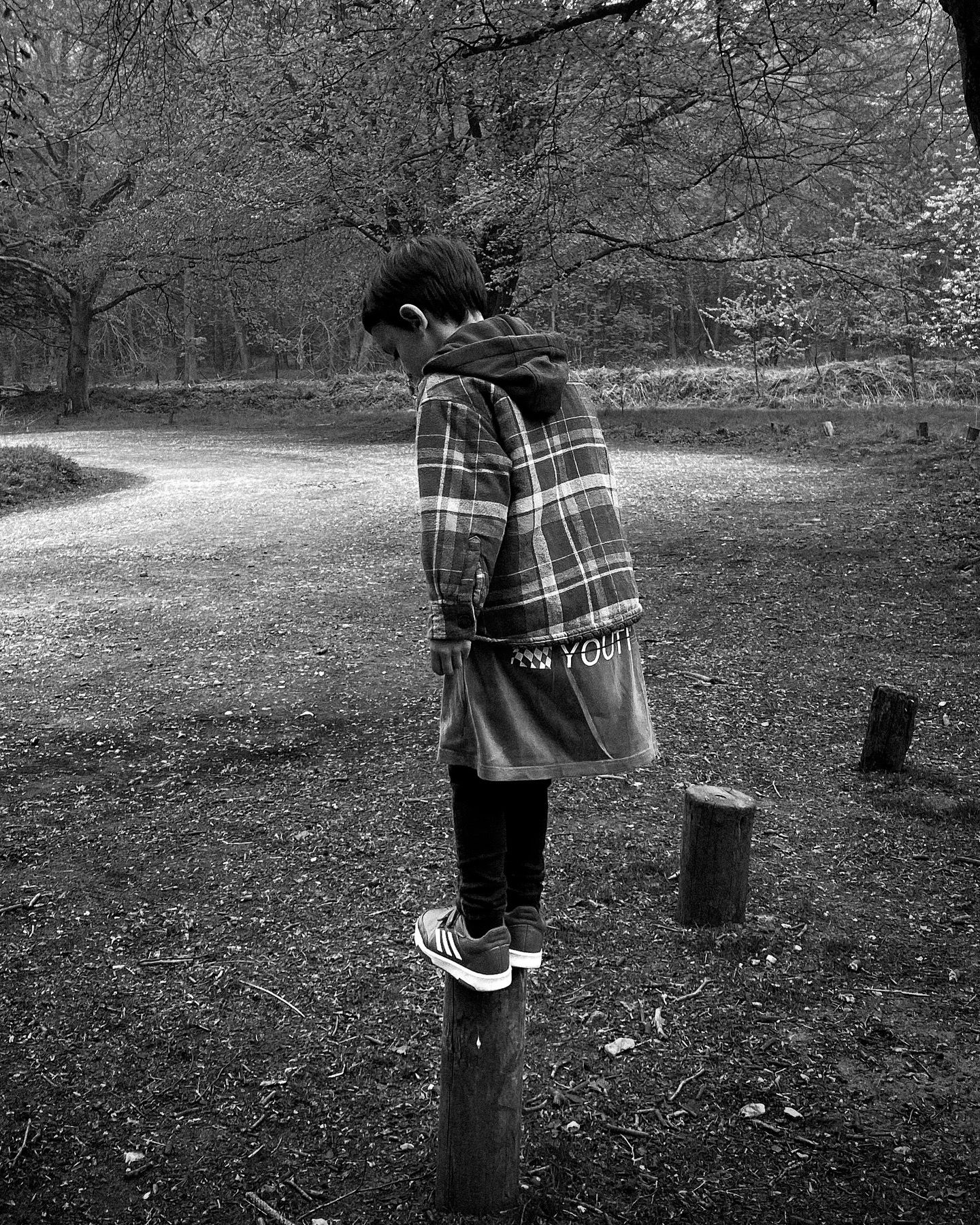 A figure in a plaid jacket balances on a wooden post in a misty park setting.