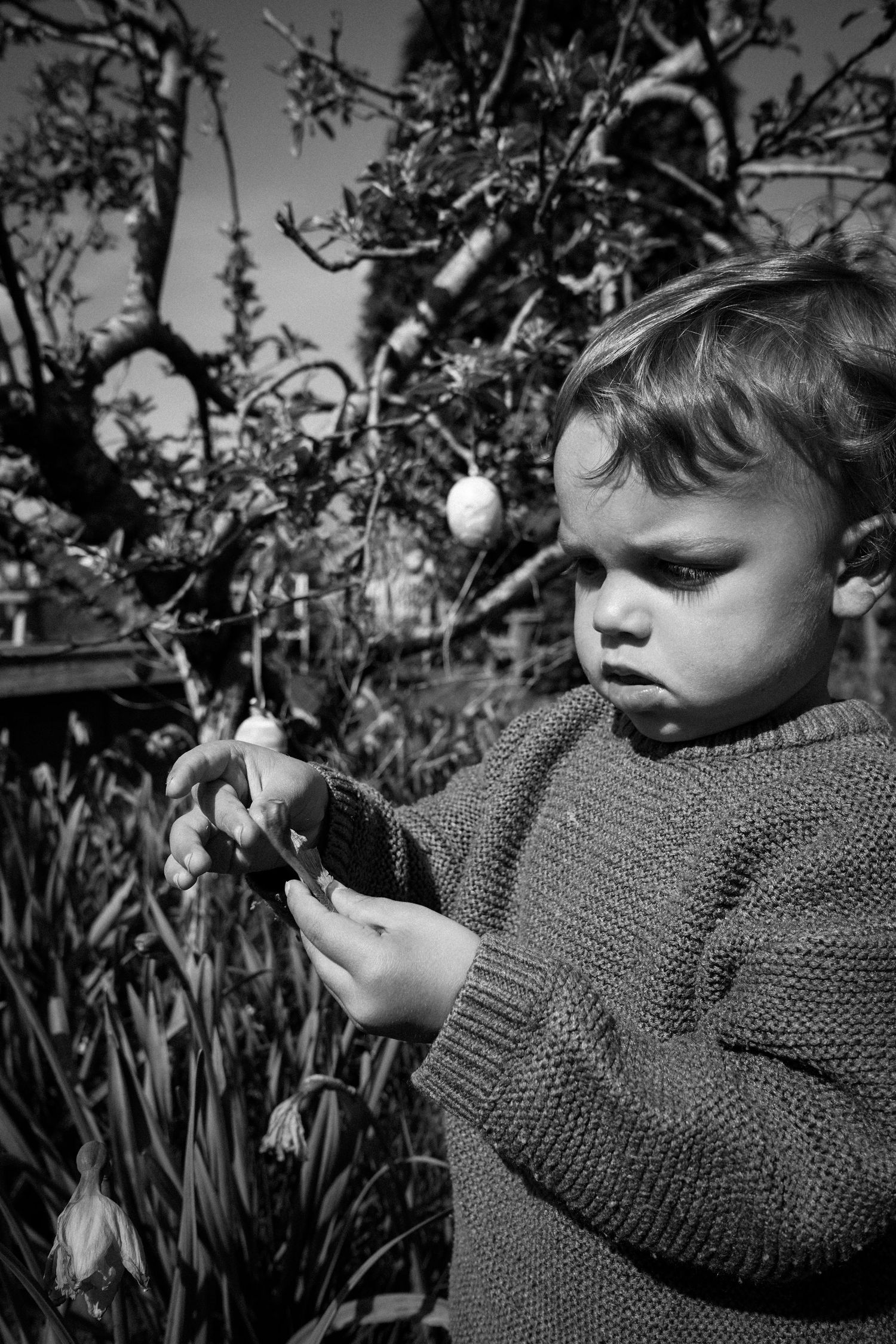 Child in a sweater examining spring flowers in a garden.