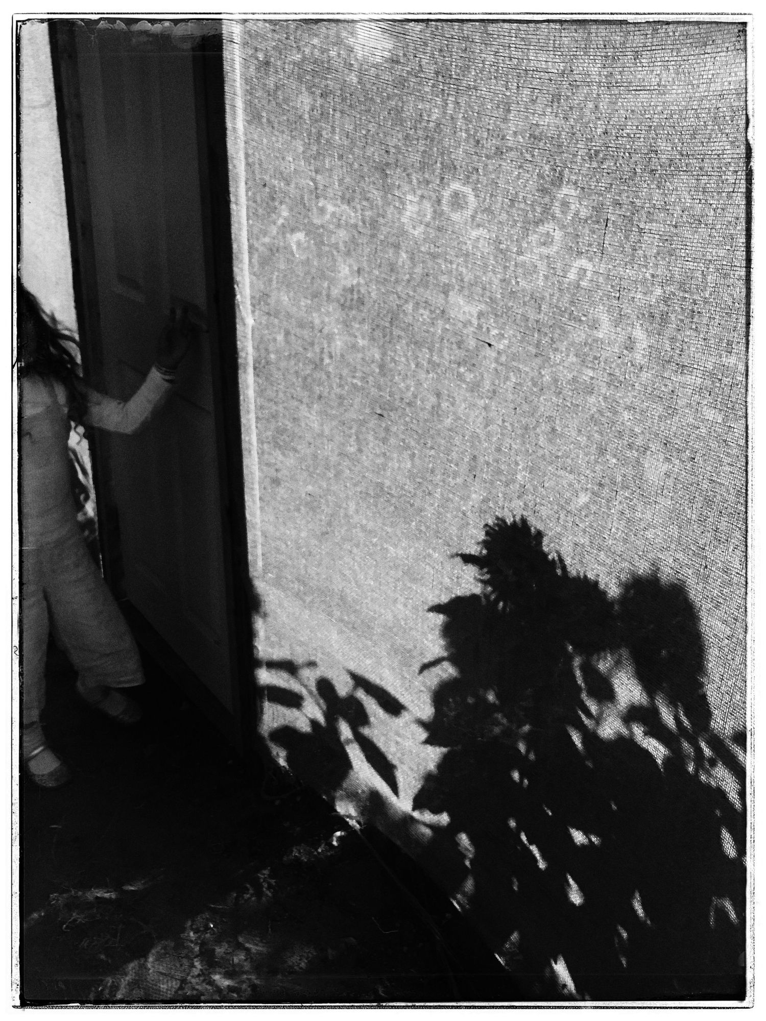 Dramatic shadows cast on a textured wall with a partial doorway visible.