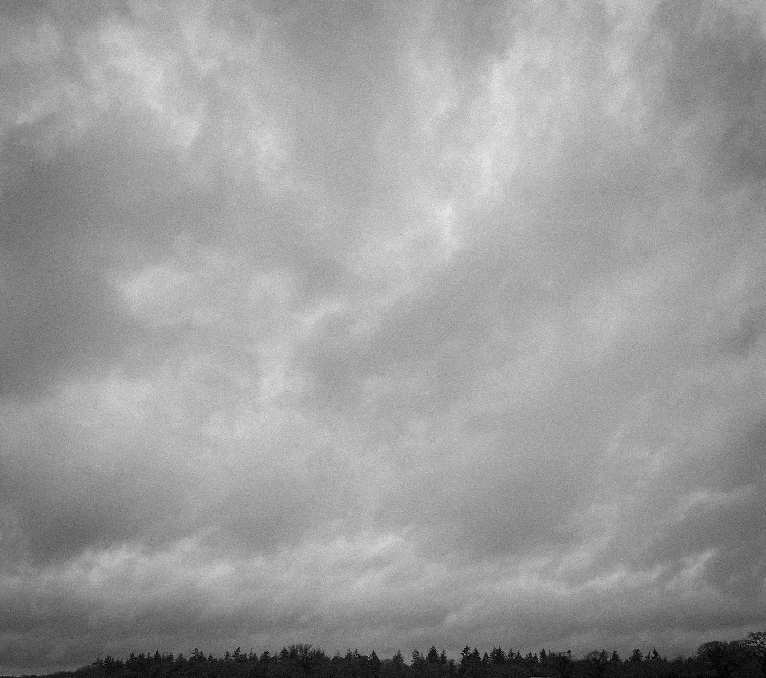 Dramatic stormy clouds over a dark forest treeline in monochrome.