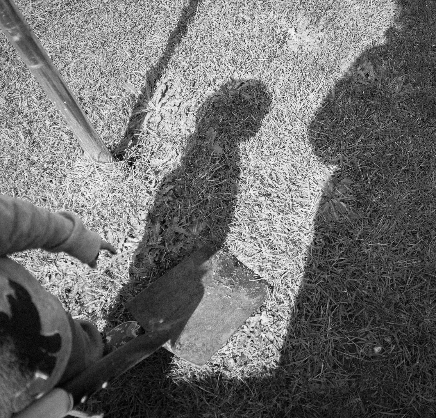 Shadows cast on a textured ground surface in black and white.