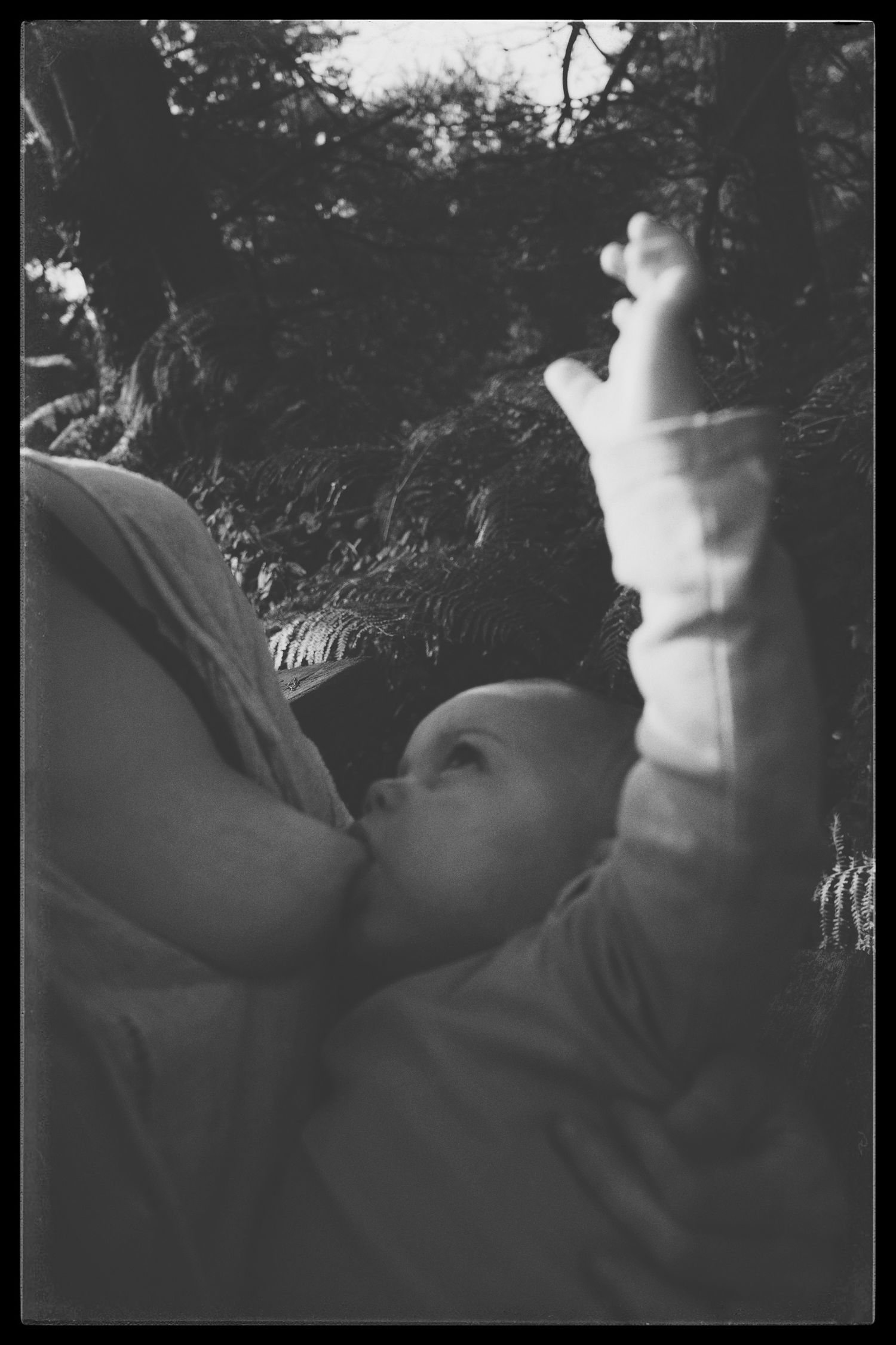 Atmospheric black and white photograph showing intimate connection in natural outdoor setting.