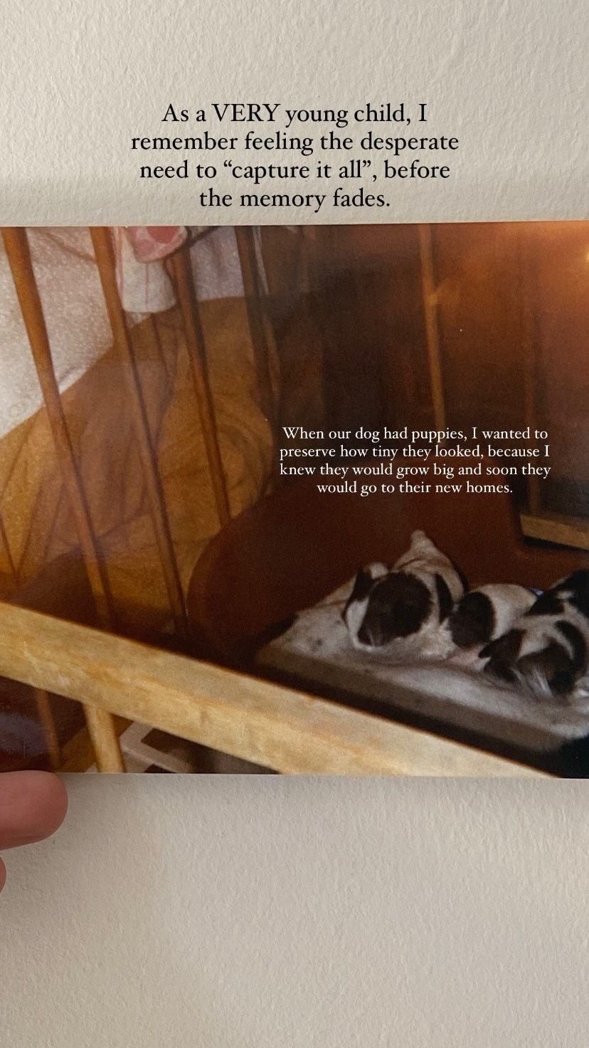 A sleeping dog rests under wooden furniture in a dimly lit indoor setting.