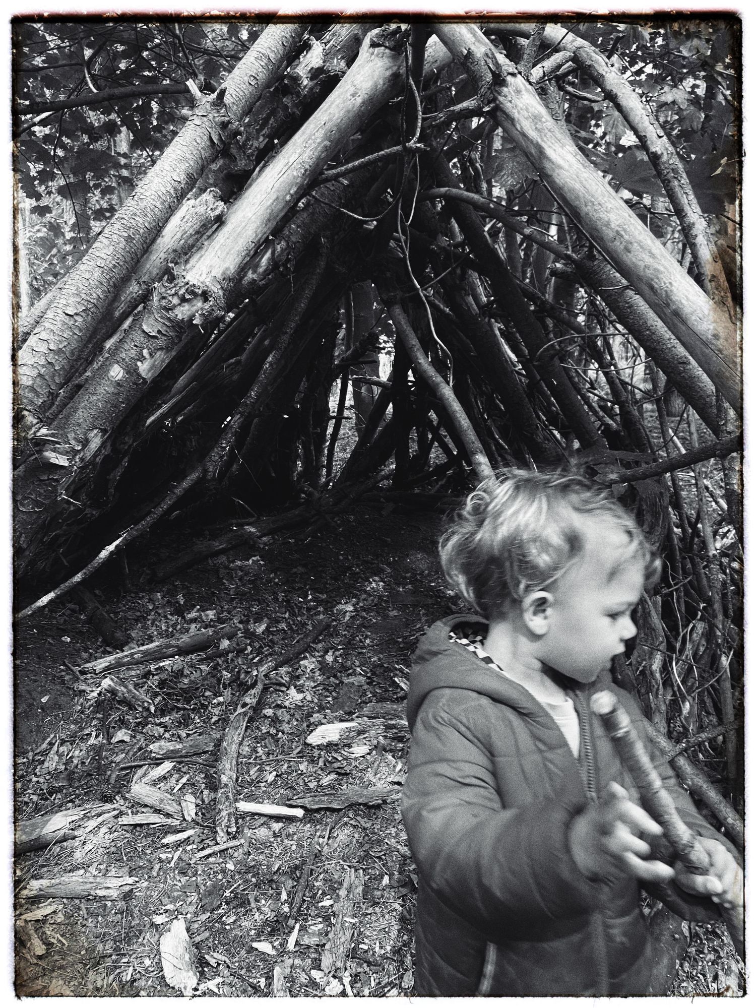 Rustic wooden shelter made from fallen branches in a wooded area.