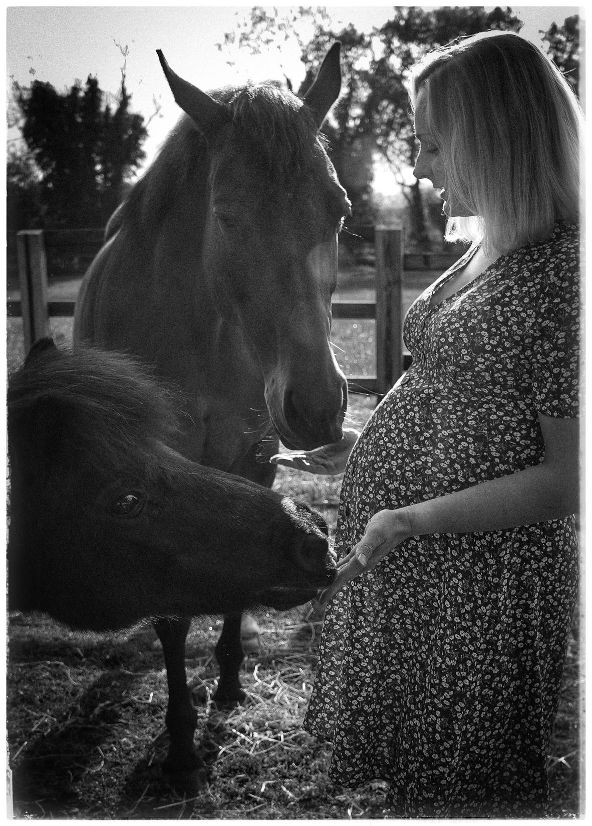 Person in a floral dress sitting outdoors with a miniature horse in black and white.