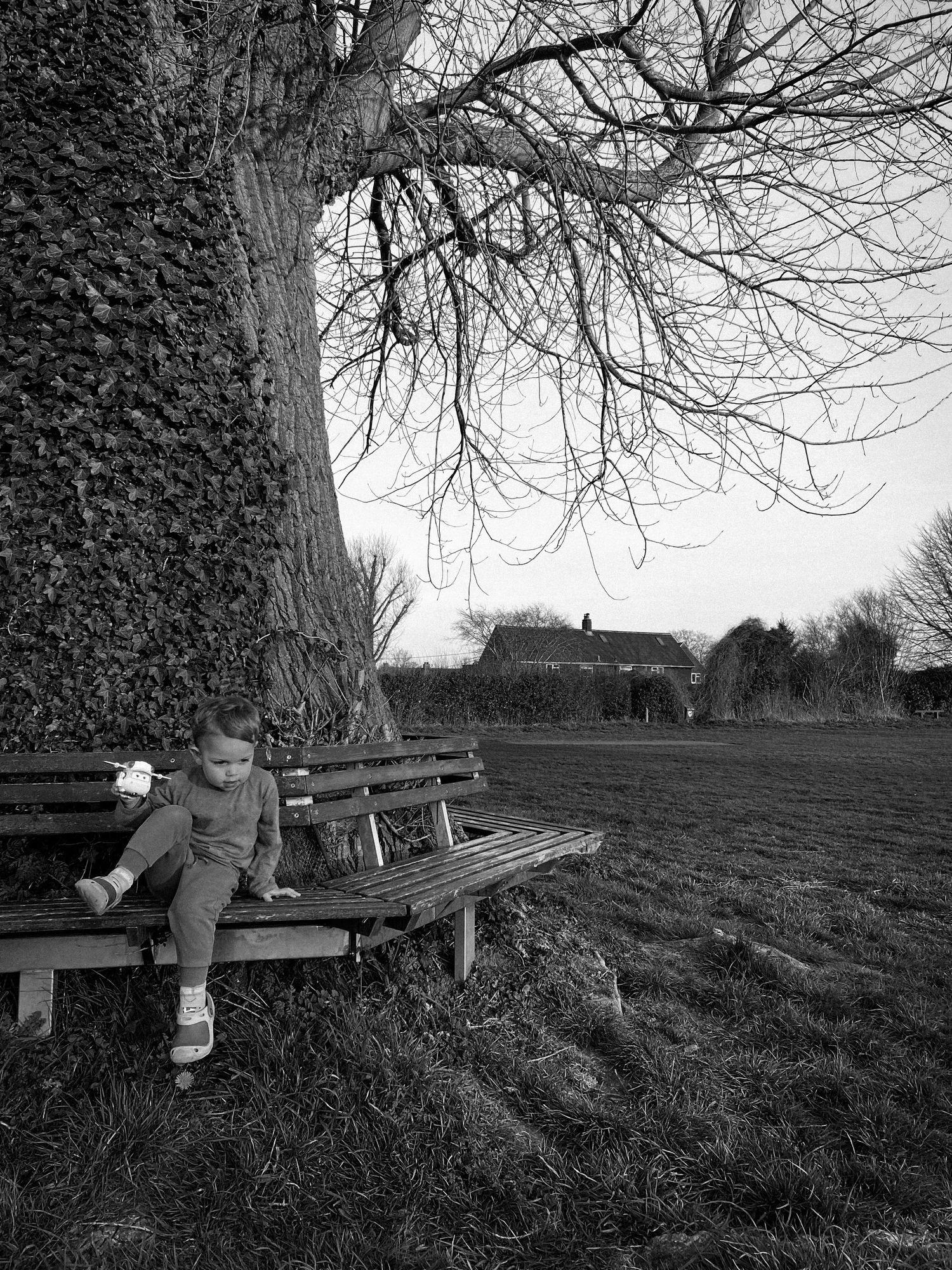 Black and white photo of a wooden bench beneath a large ivy-covered tree in a park setting.