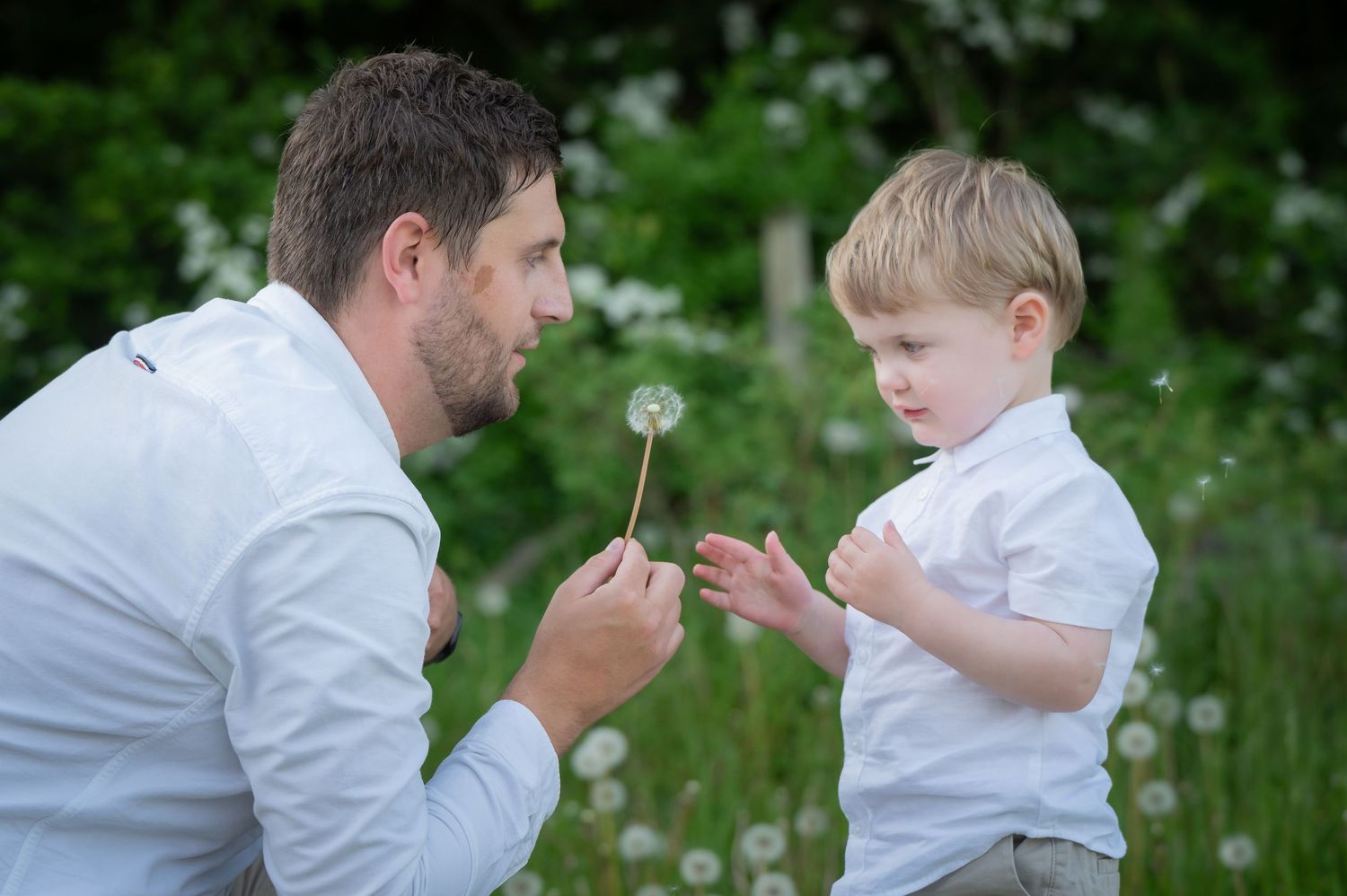 Father kneeling next to his son in a field, both holding dandelions and sharing a moment of curiosity and connection in the sunlight.