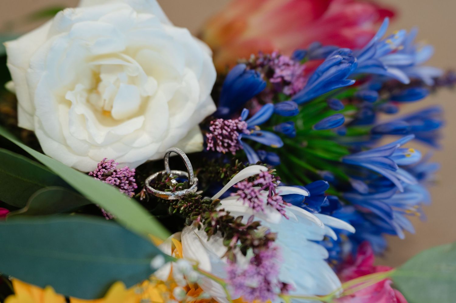 Wedding rings resting on a colourful bouquet with white and purple flowers