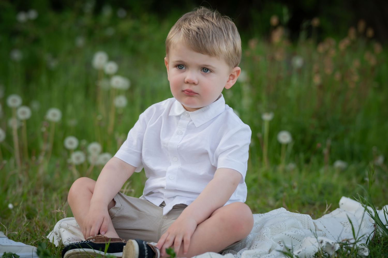 Little boy sitting on a blanket in a grassy field with white flowers, looking slightly to the side in a white shirt and beige shorts.